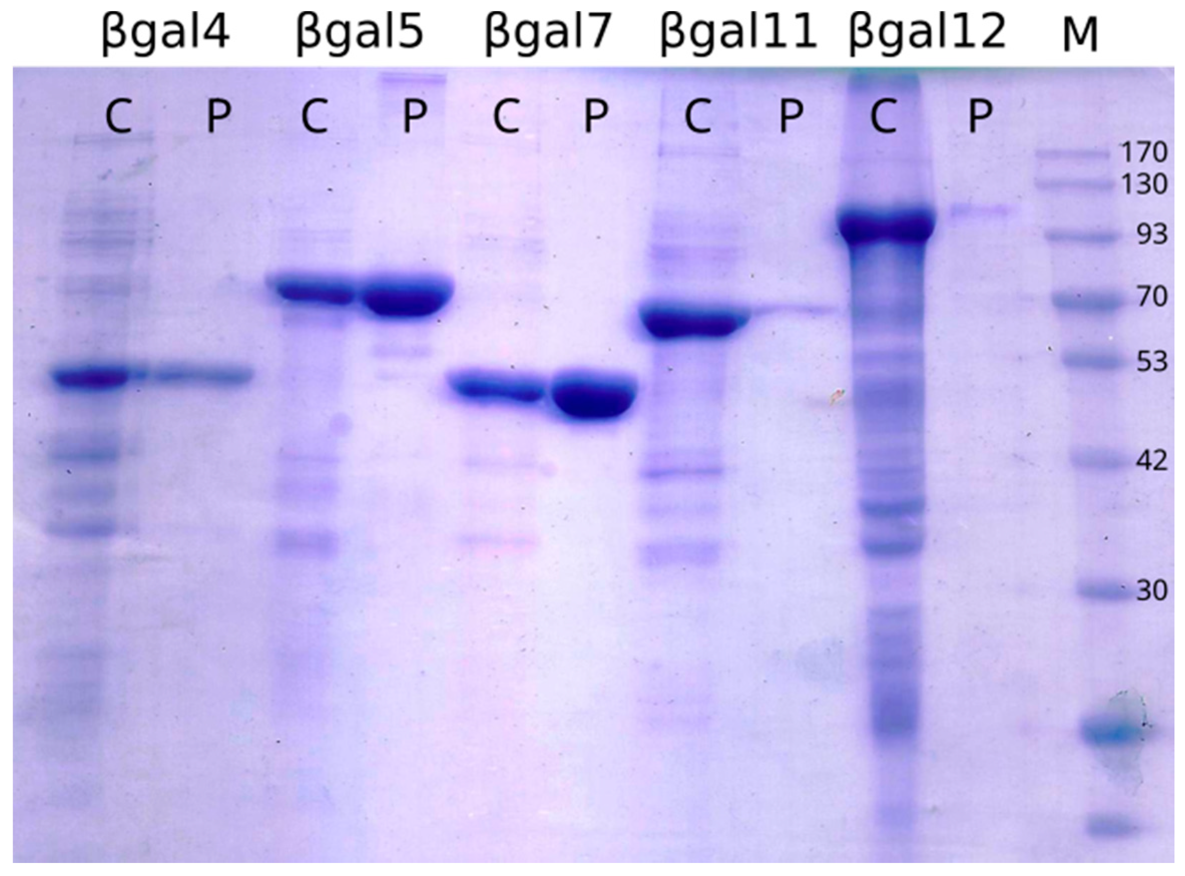 Microorganisms 09 00055 g002