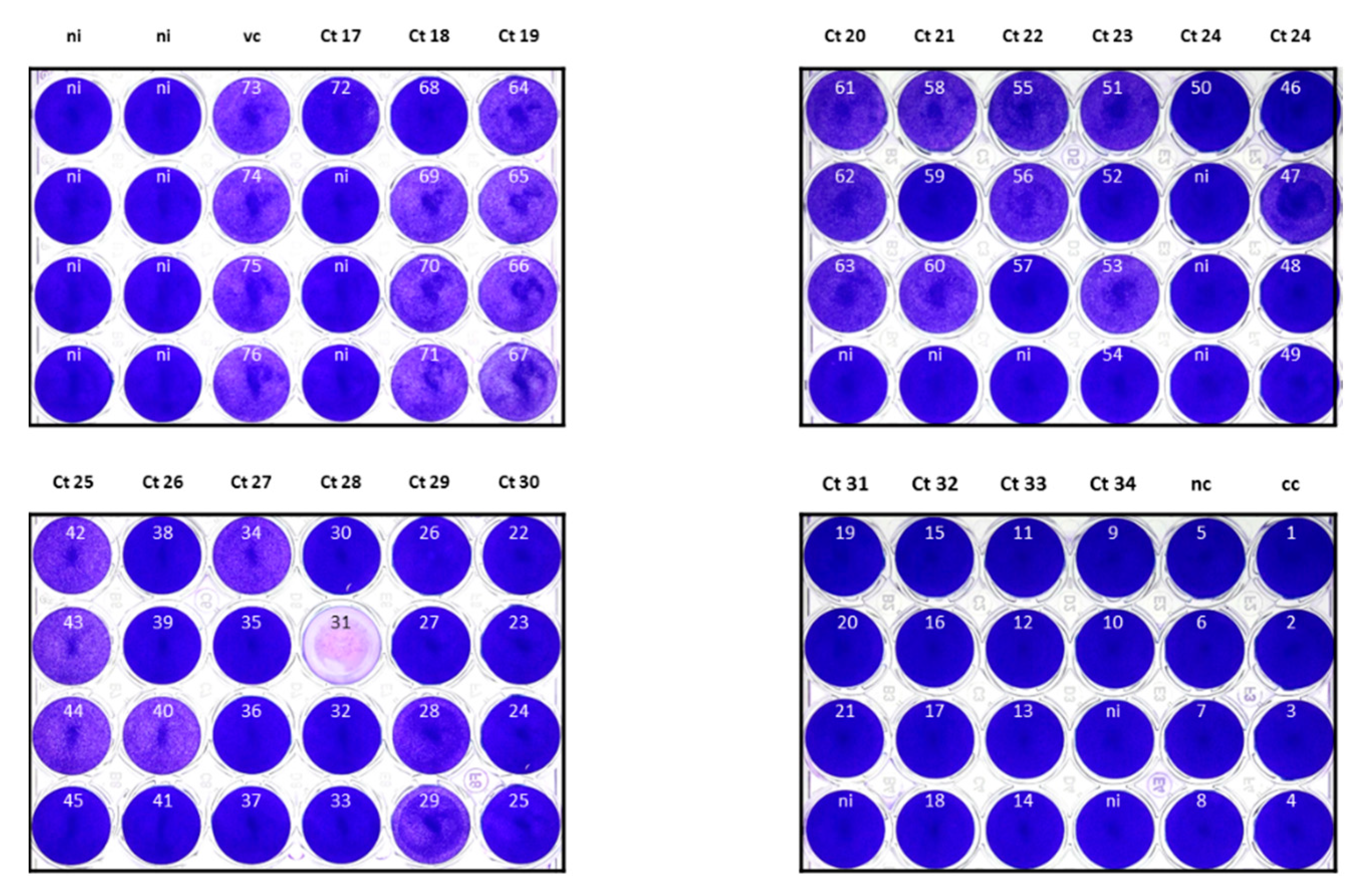Microorganisms 09 00058 g005