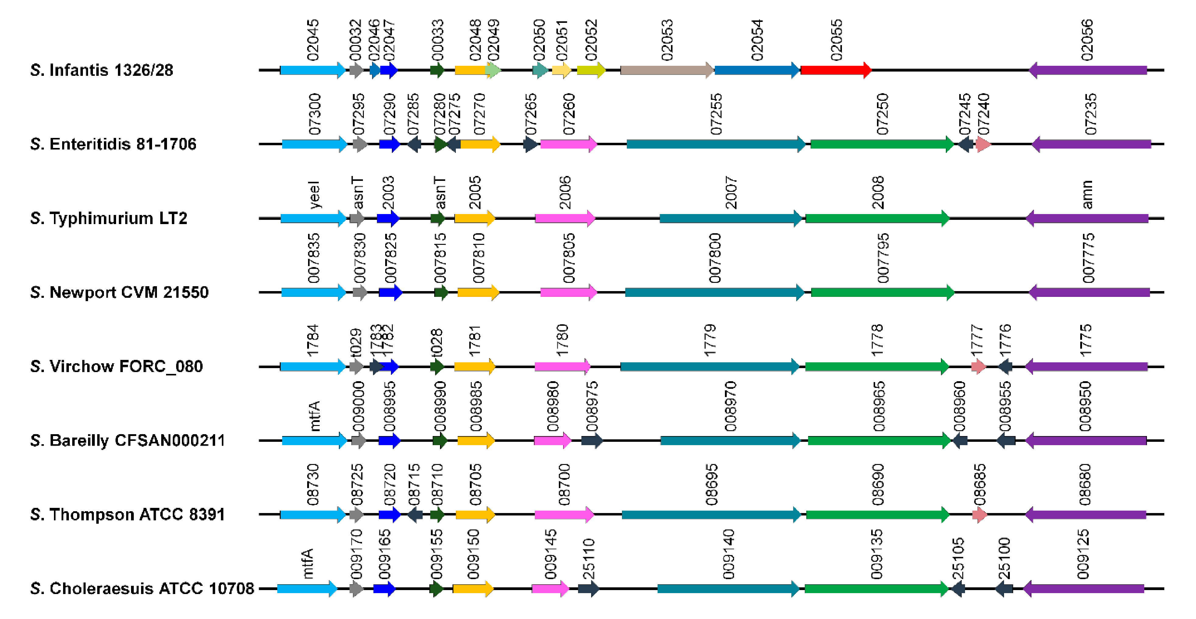 Microorganisms 09 00067 g002 Microorganisms 09 00067 g002