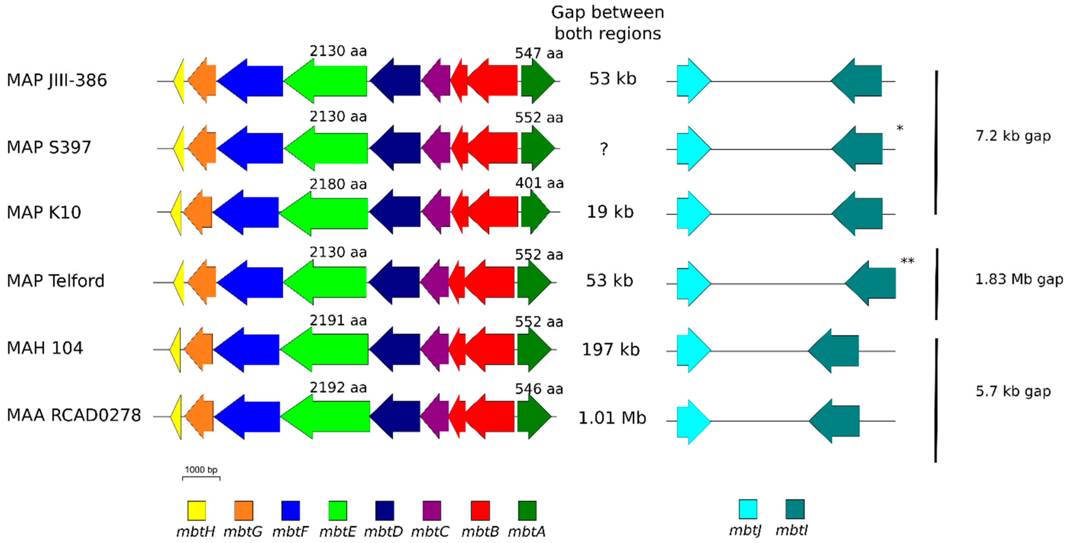 Microorganisms 09 00070 g005