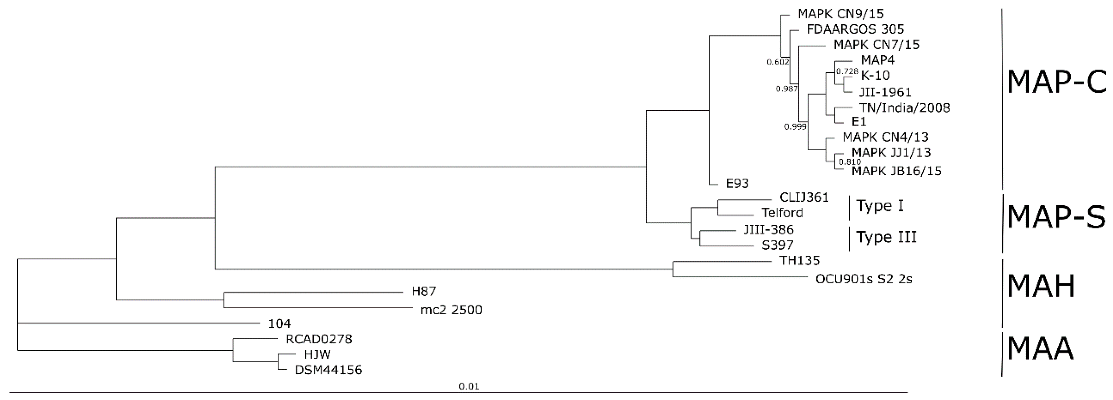 Microorganisms 09 00070 g007