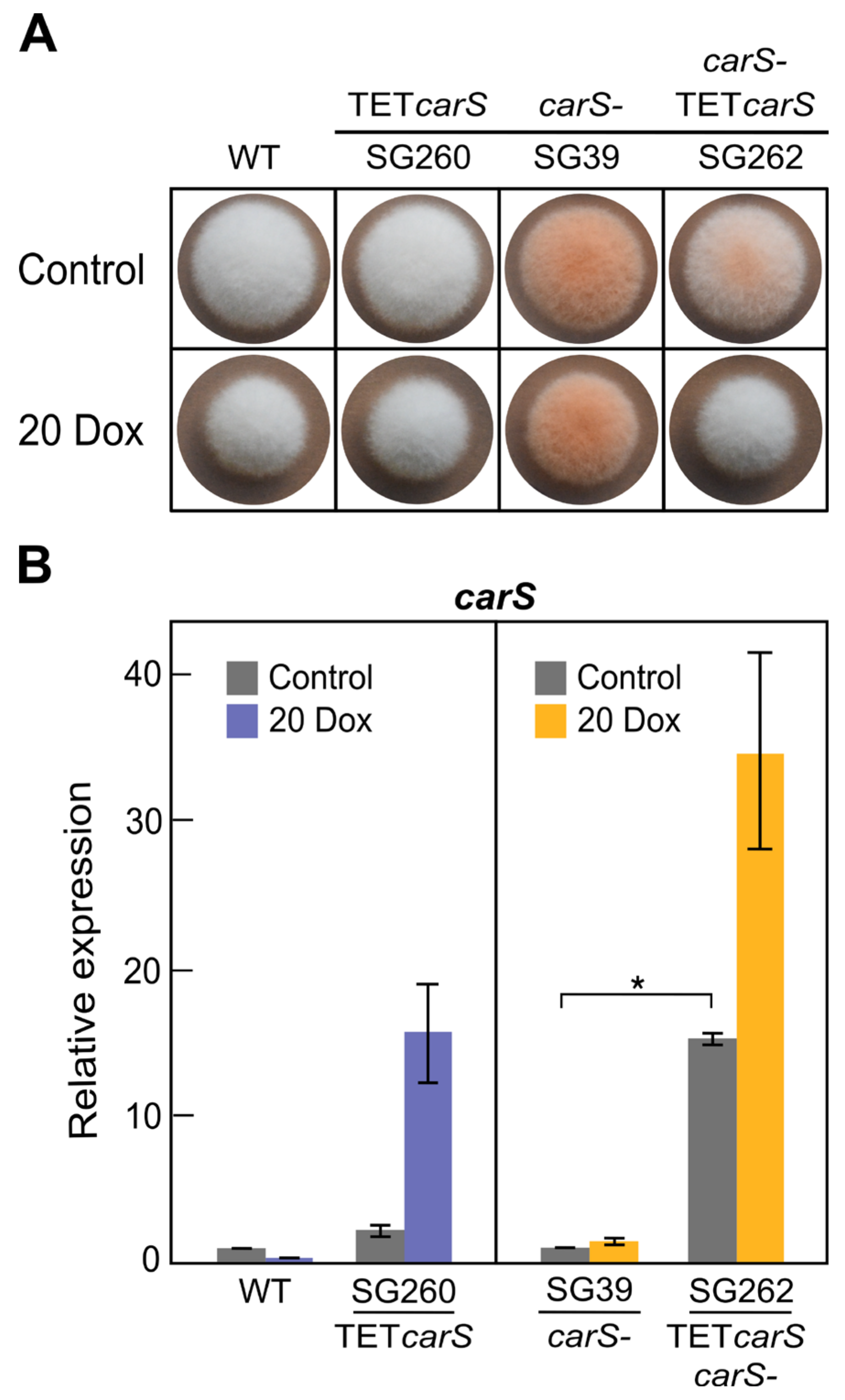 Microorganisms 09 00071 g003