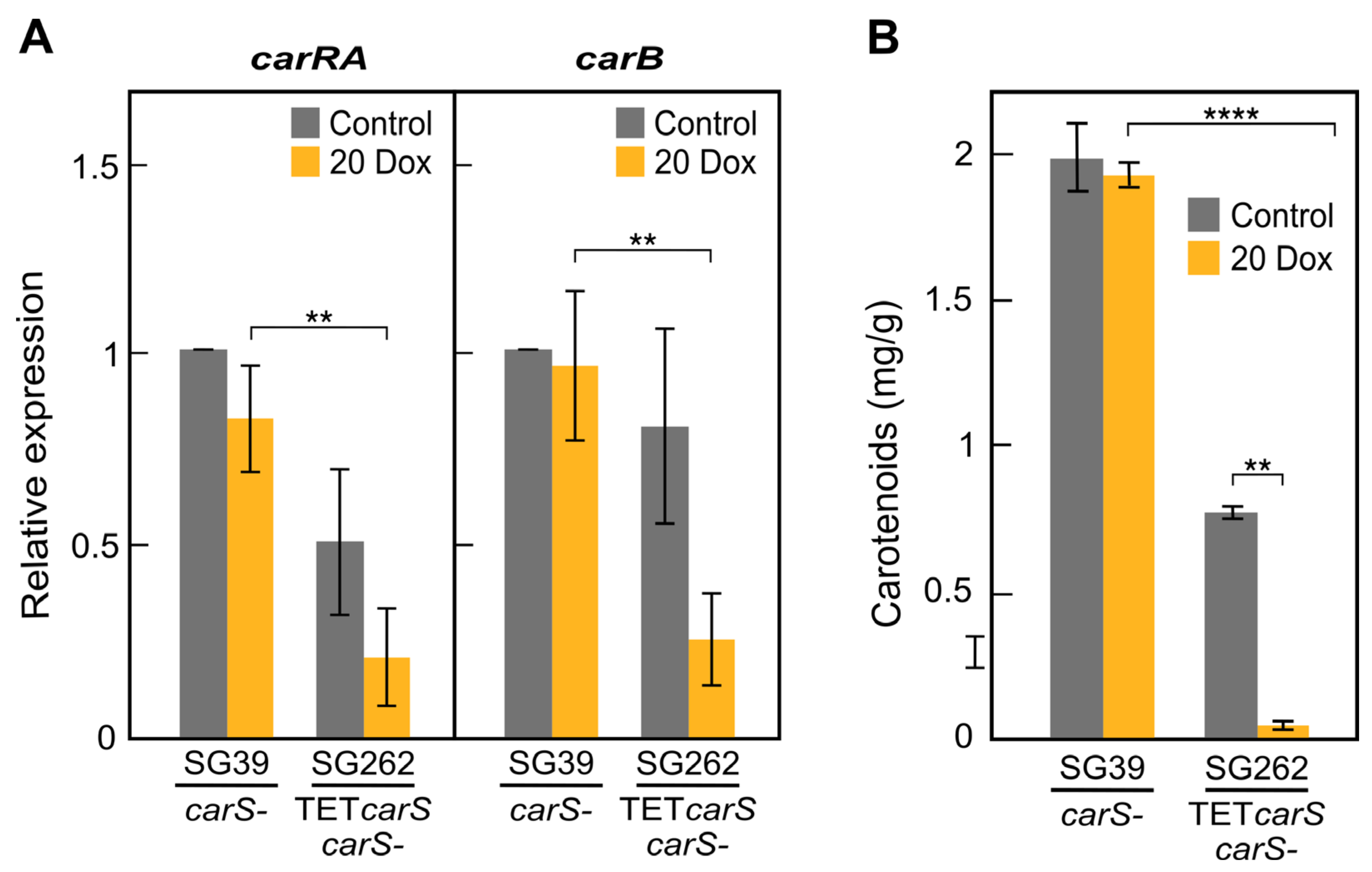 Microorganisms 09 00071 g004