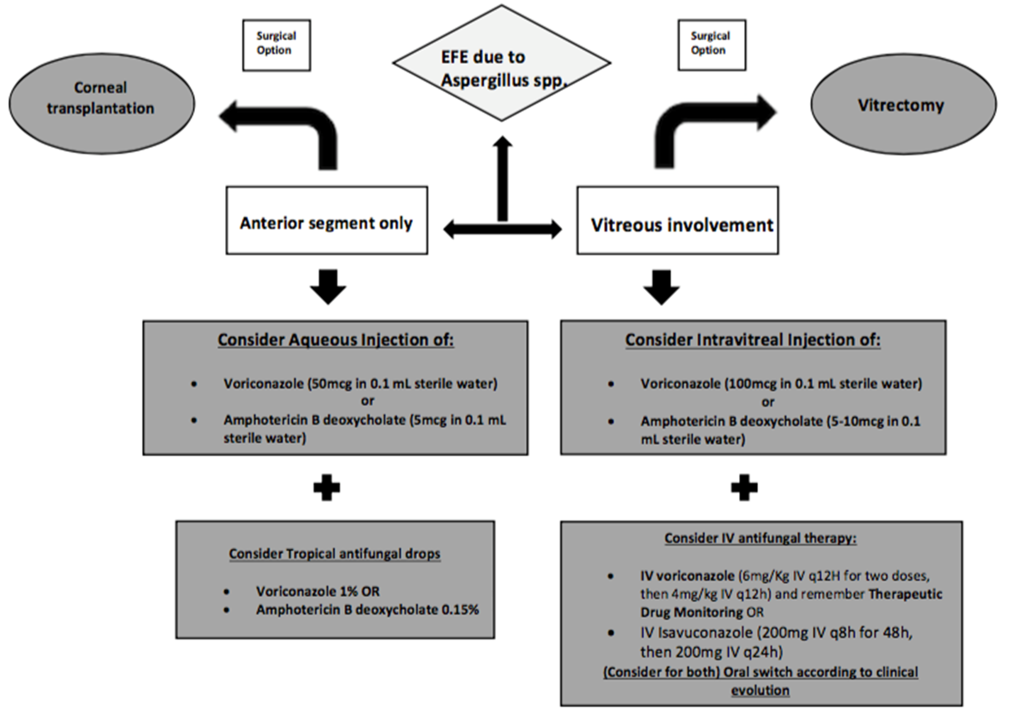 Microorganisms 09 00074 g002
