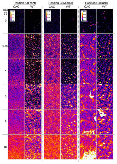 Microorganisms 09 00077 g0a2