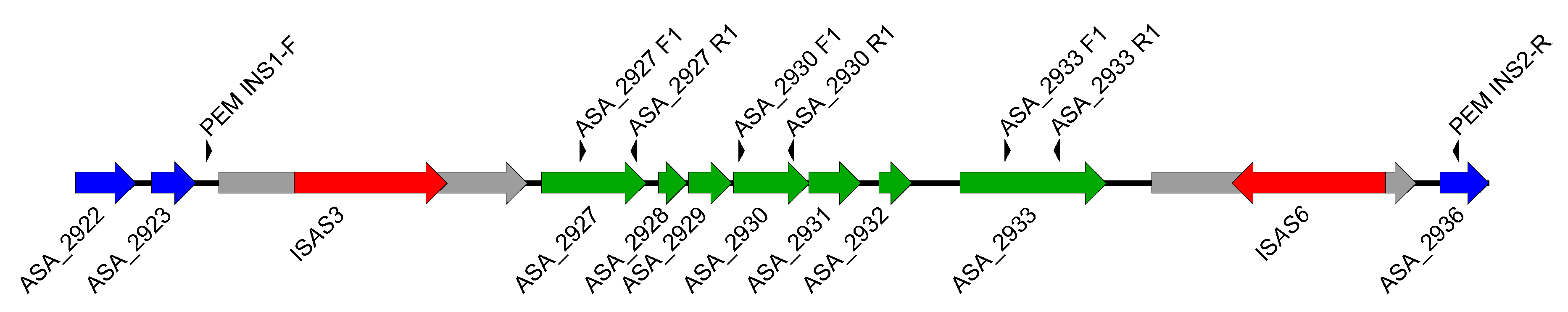 Microorganisms 09 00085 g003