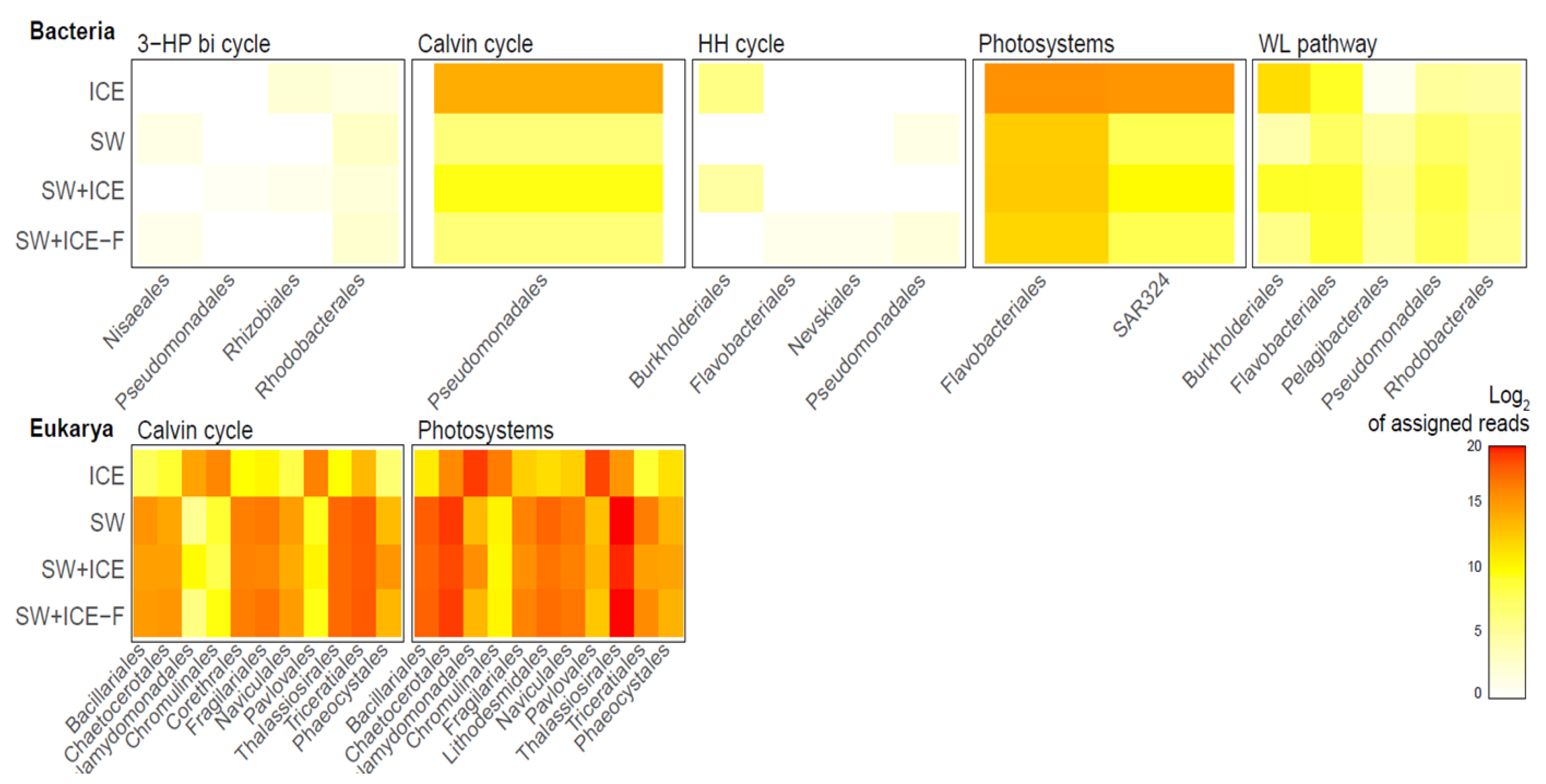 Microorganisms 09 00088 g003 Microorganisms 09 00088 g003