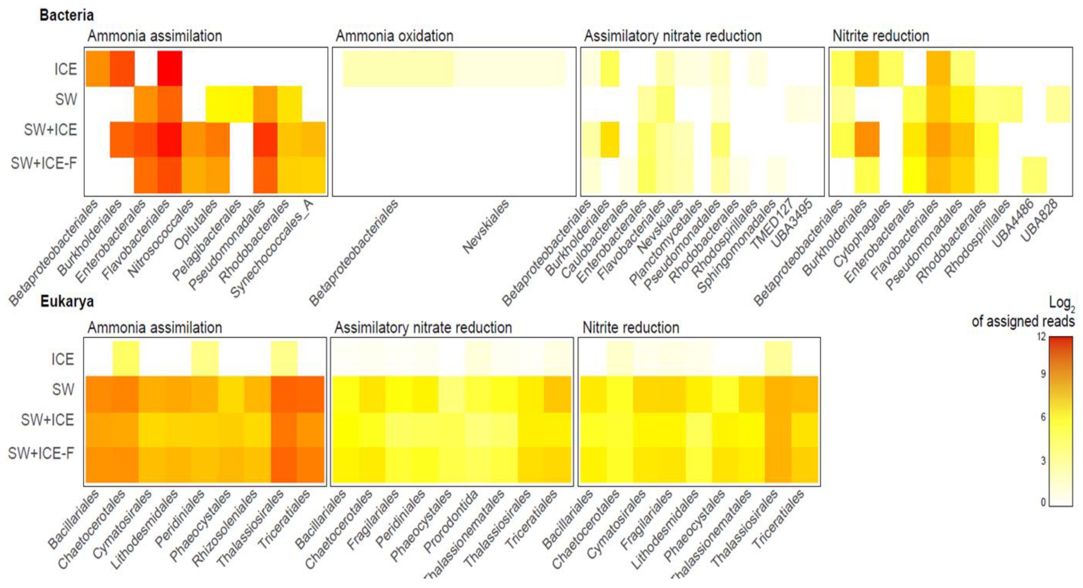 Microorganisms 09 00088 g004 Microorganisms 09 00088 g004