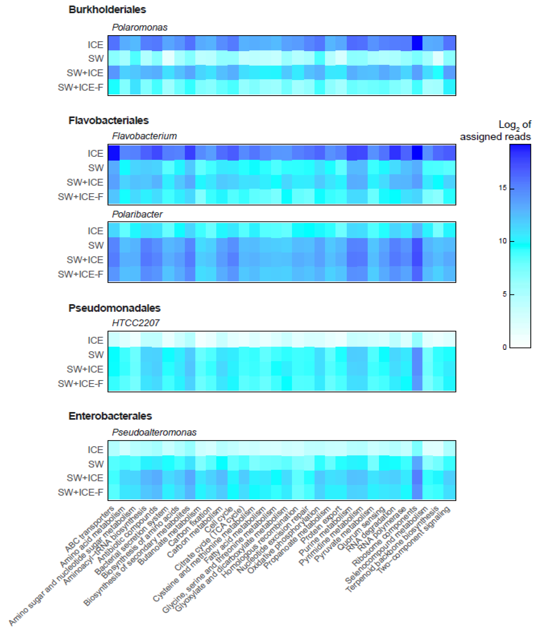 Microorganisms 09 00088 g005 Microorganisms 09 00088 g005