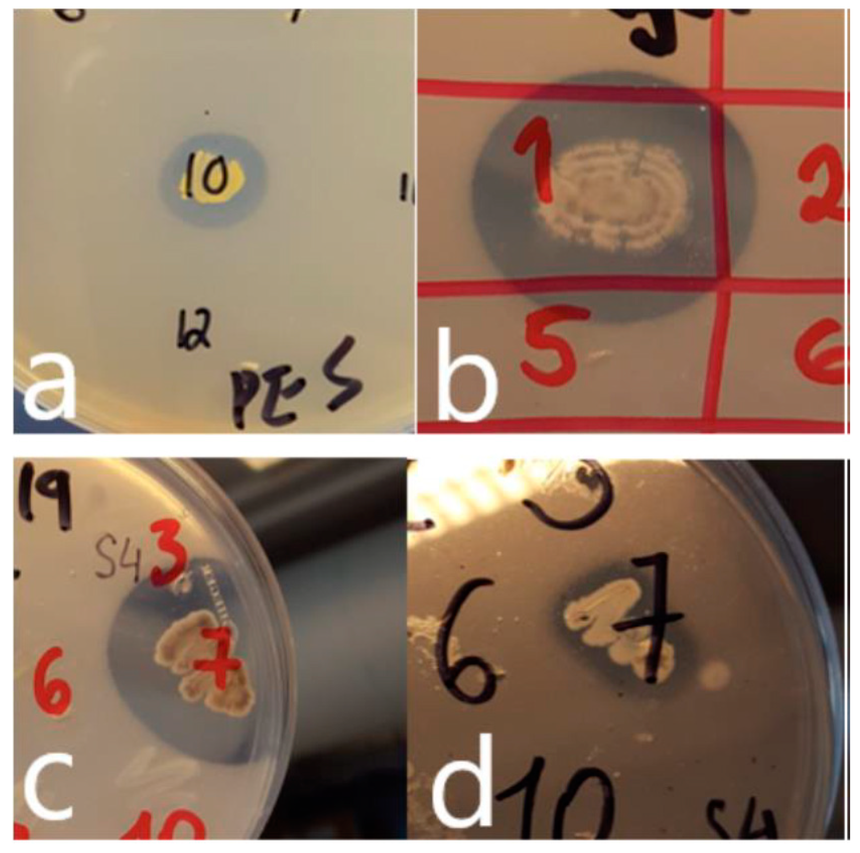 Microorganisms 09 00094 g001 Microorganisms 09 00094 g001