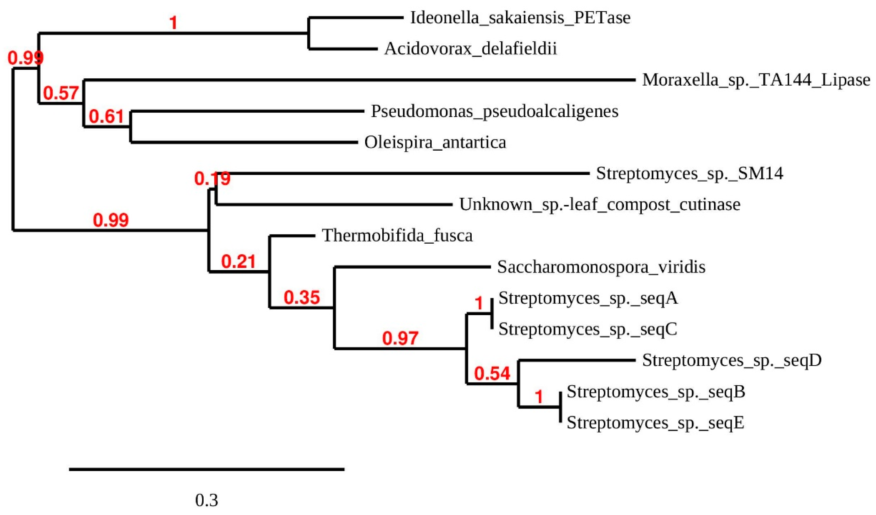 Microorganisms 09 00094 g003 Microorganisms 09 00094 g003