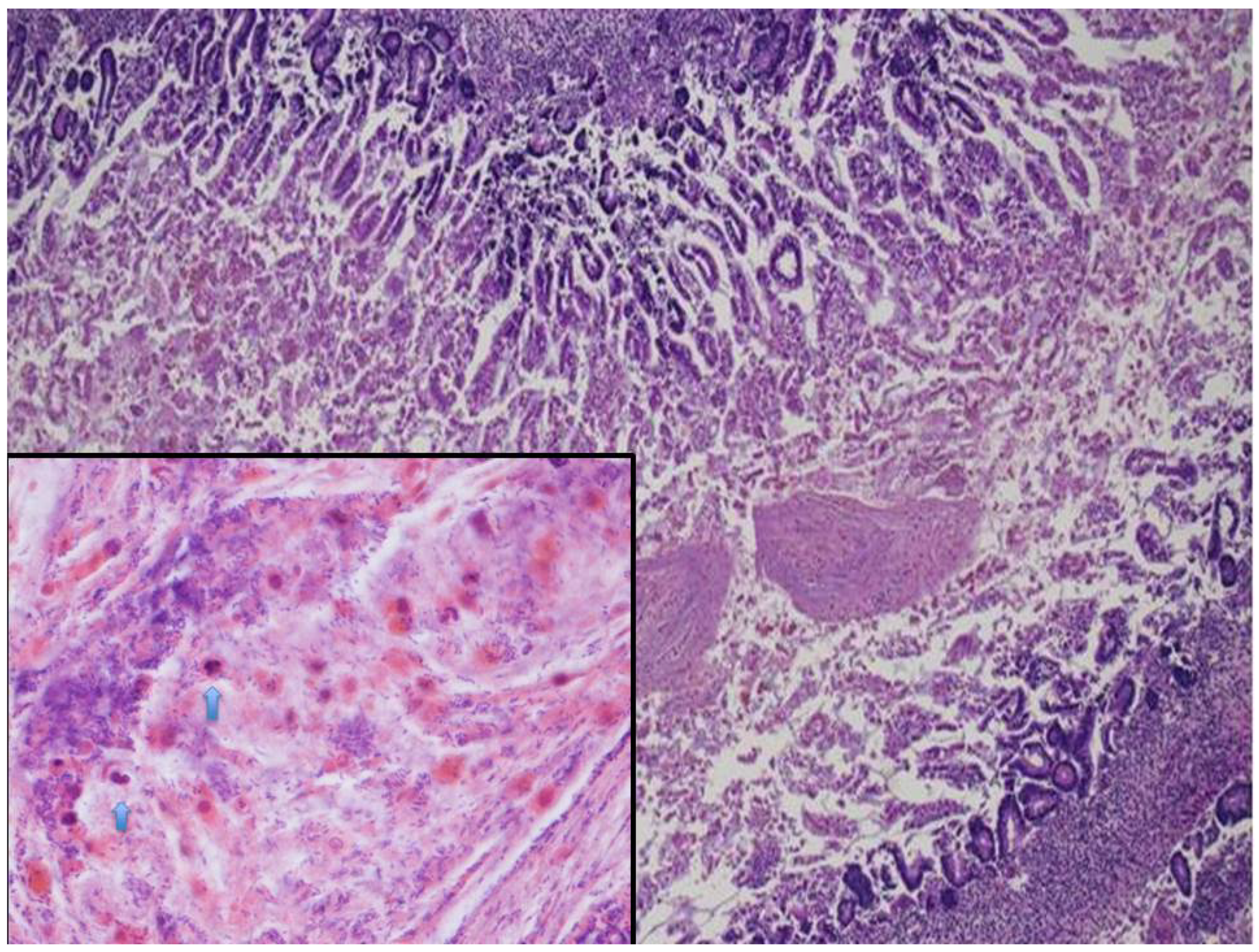 Microorganisms 09 00096 g002 Microorganisms 09 00096 g002