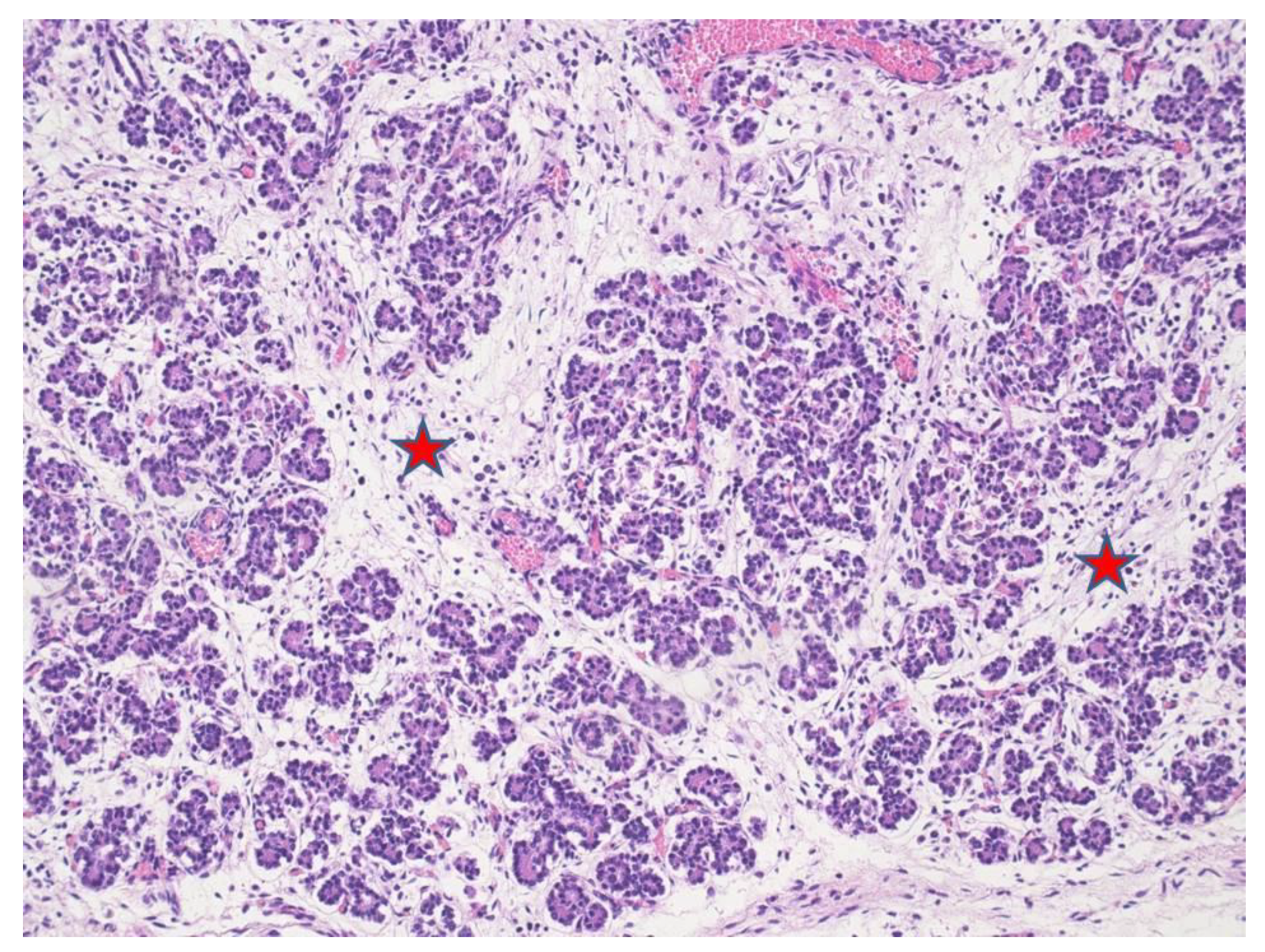 Microorganisms 09 00096 g003 Microorganisms 09 00096 g003