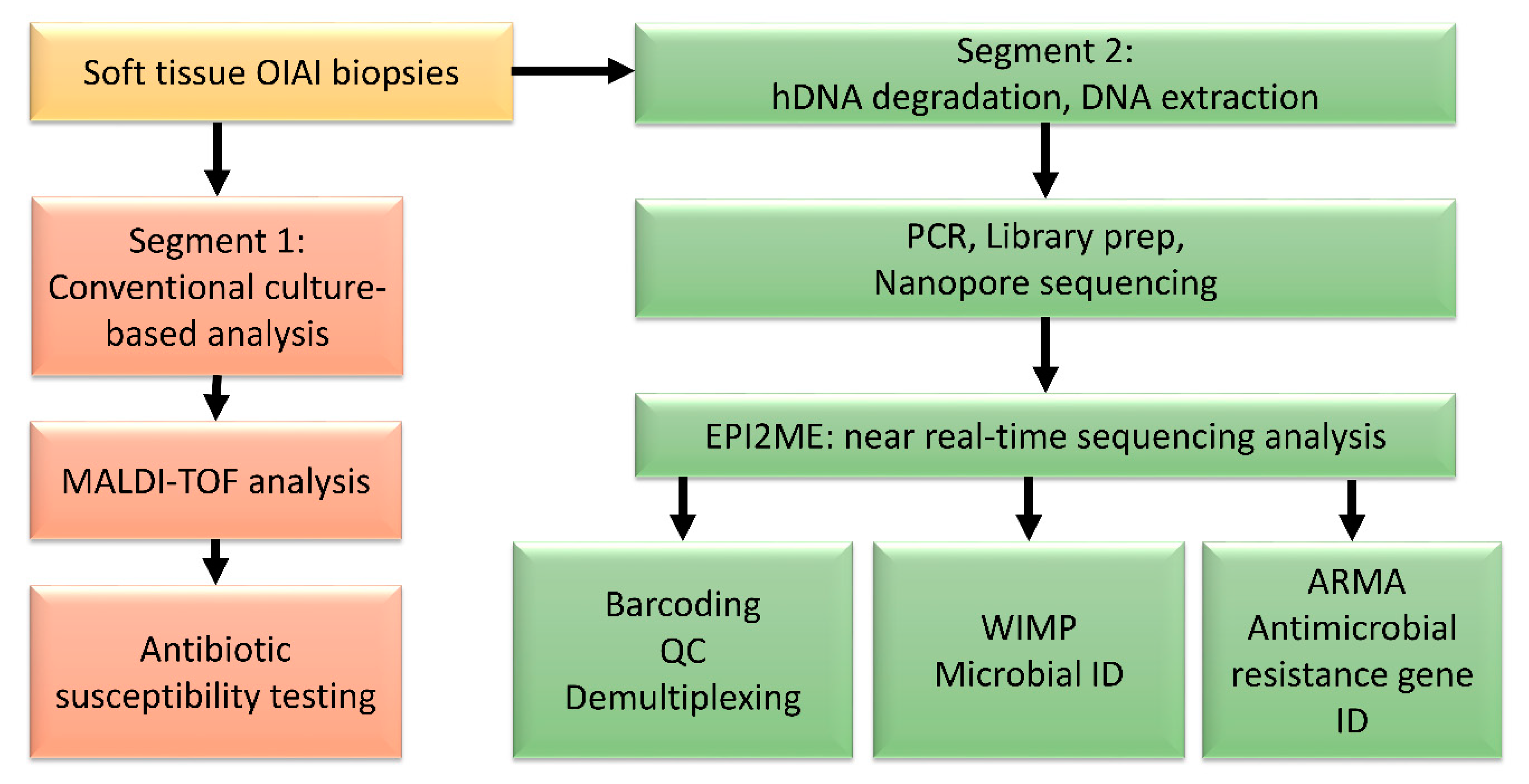 Microorganisms 09 00097 g001