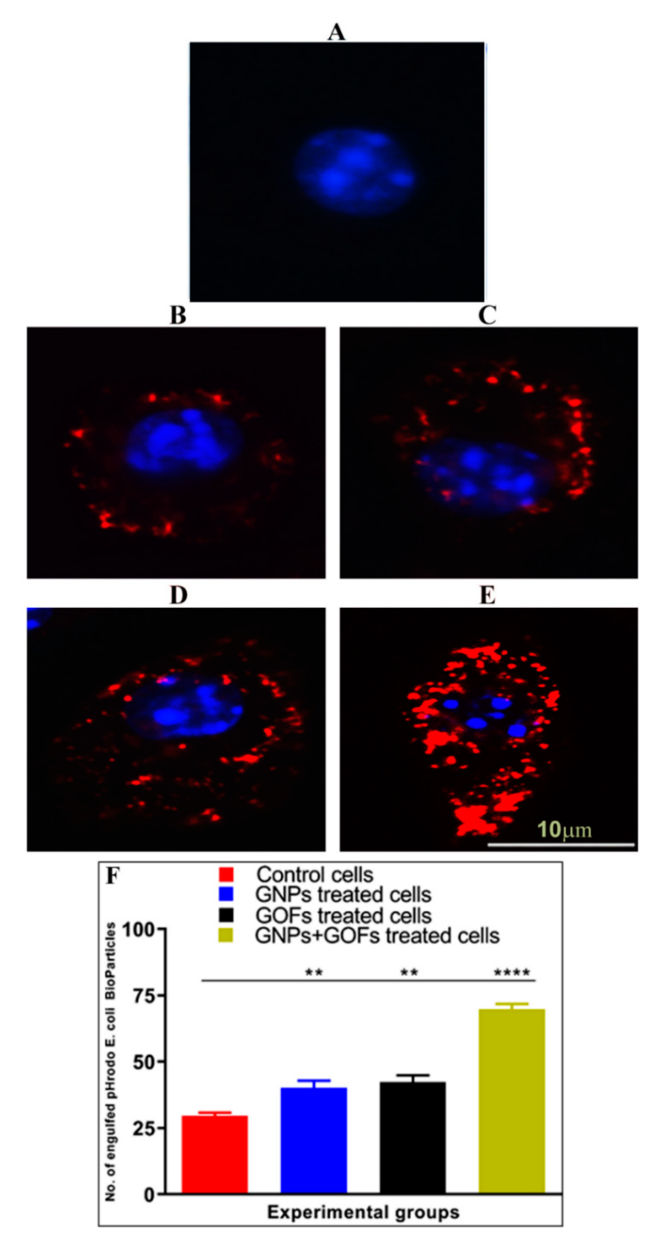 Microorganisms 09 00101 g006 Microorganisms 09 00101 g006
