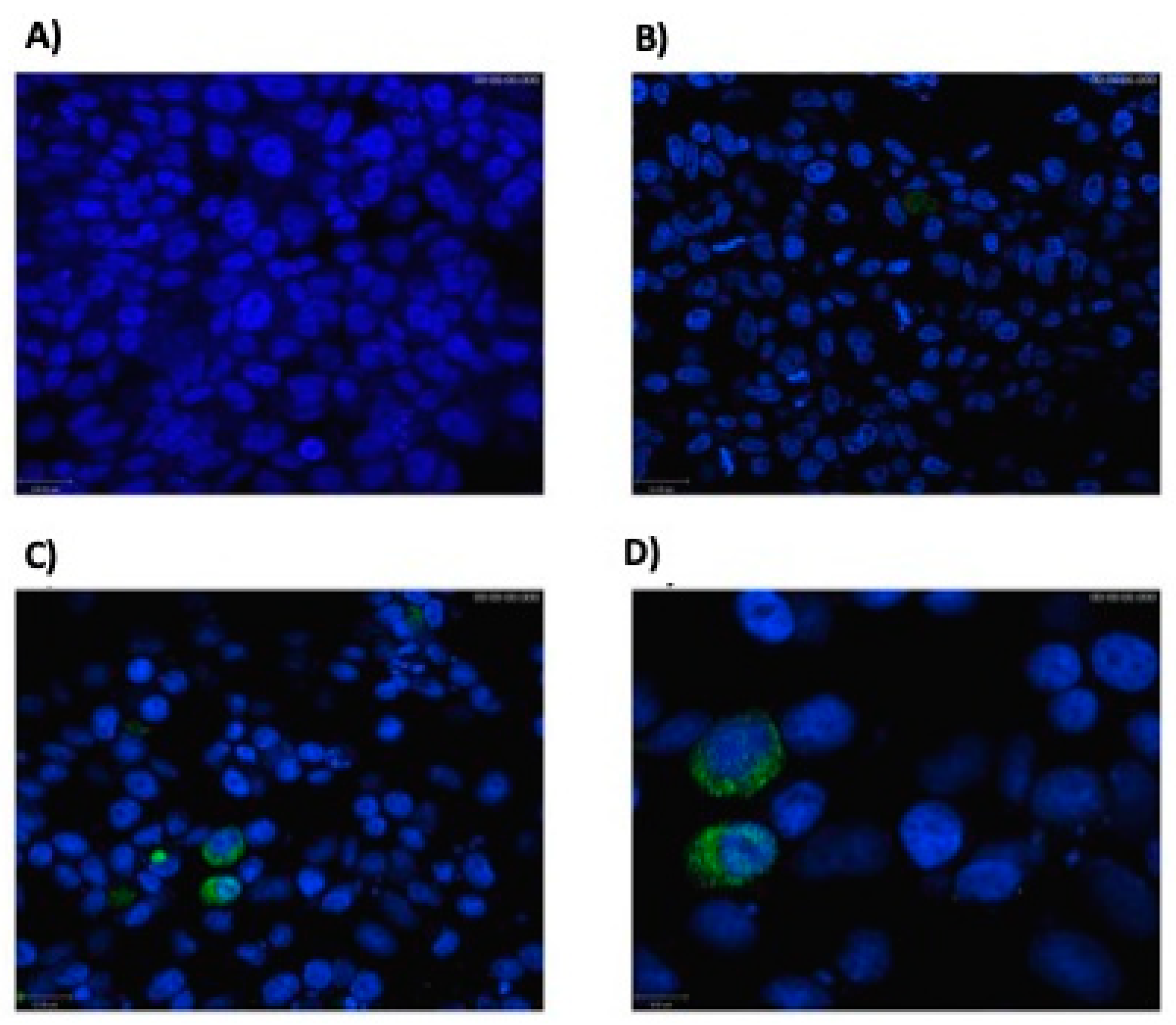 Microorganisms 09 00107 g001