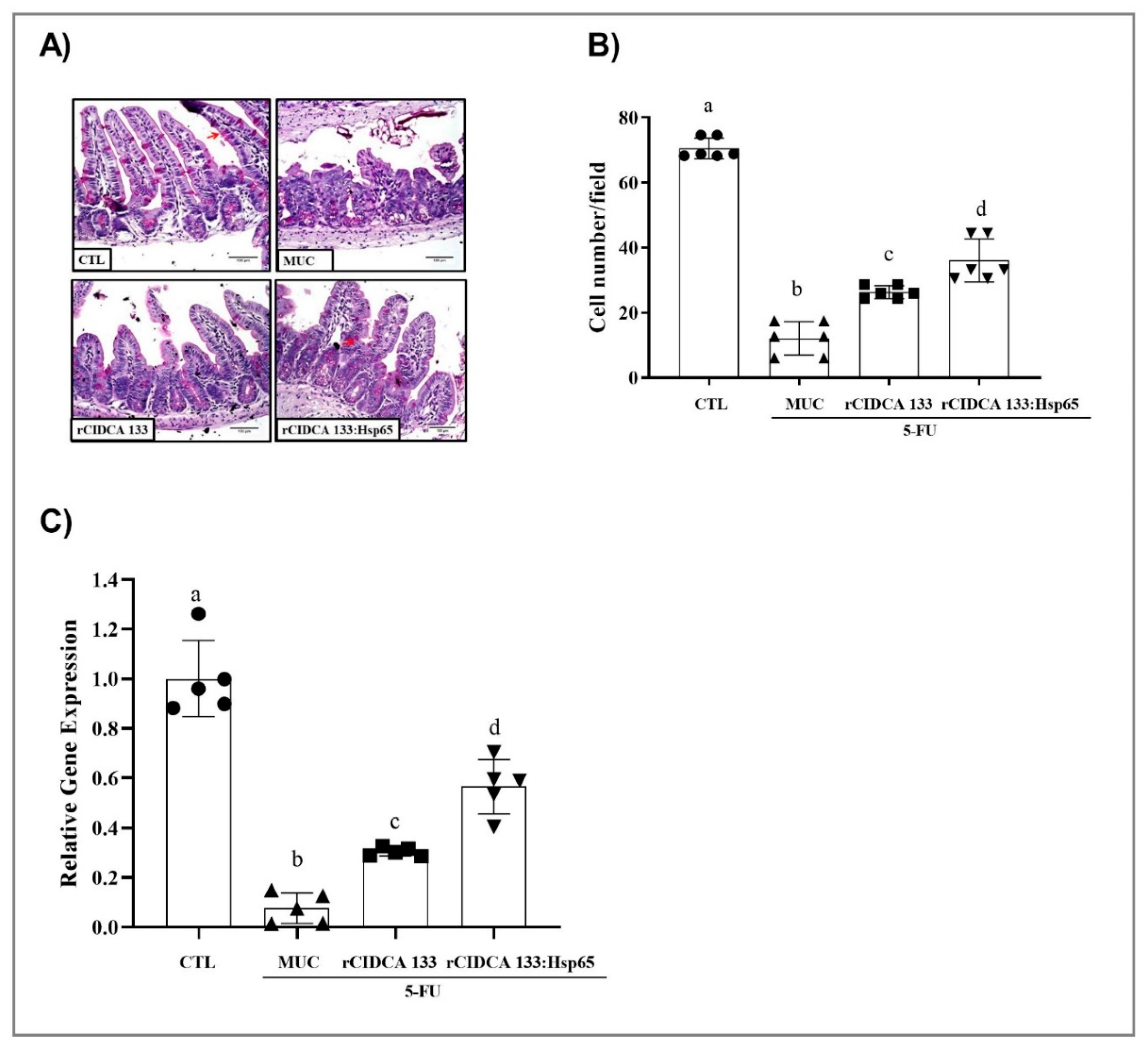 Microorganisms 09 00107 g005