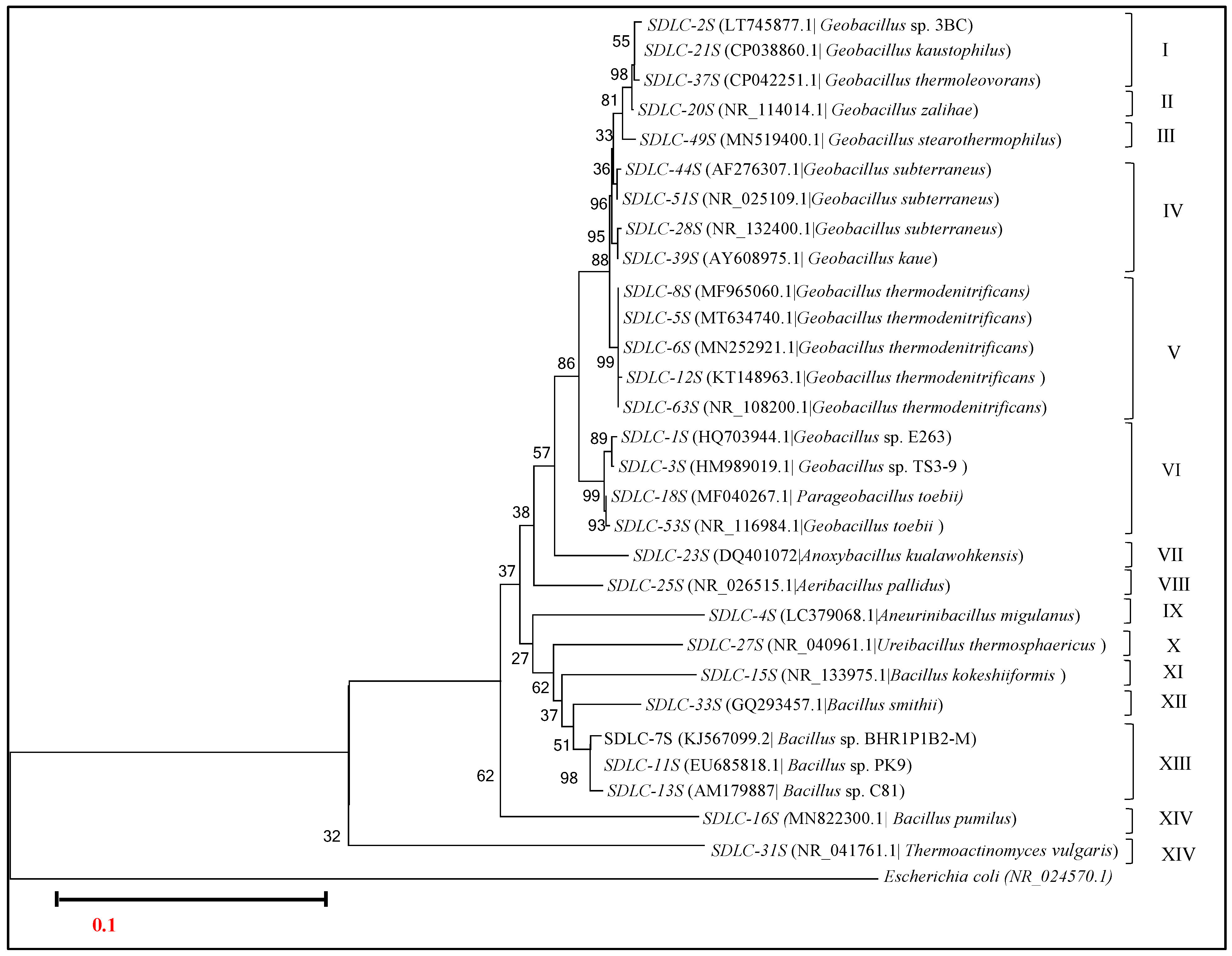 Microorganisms 09 00113 g005