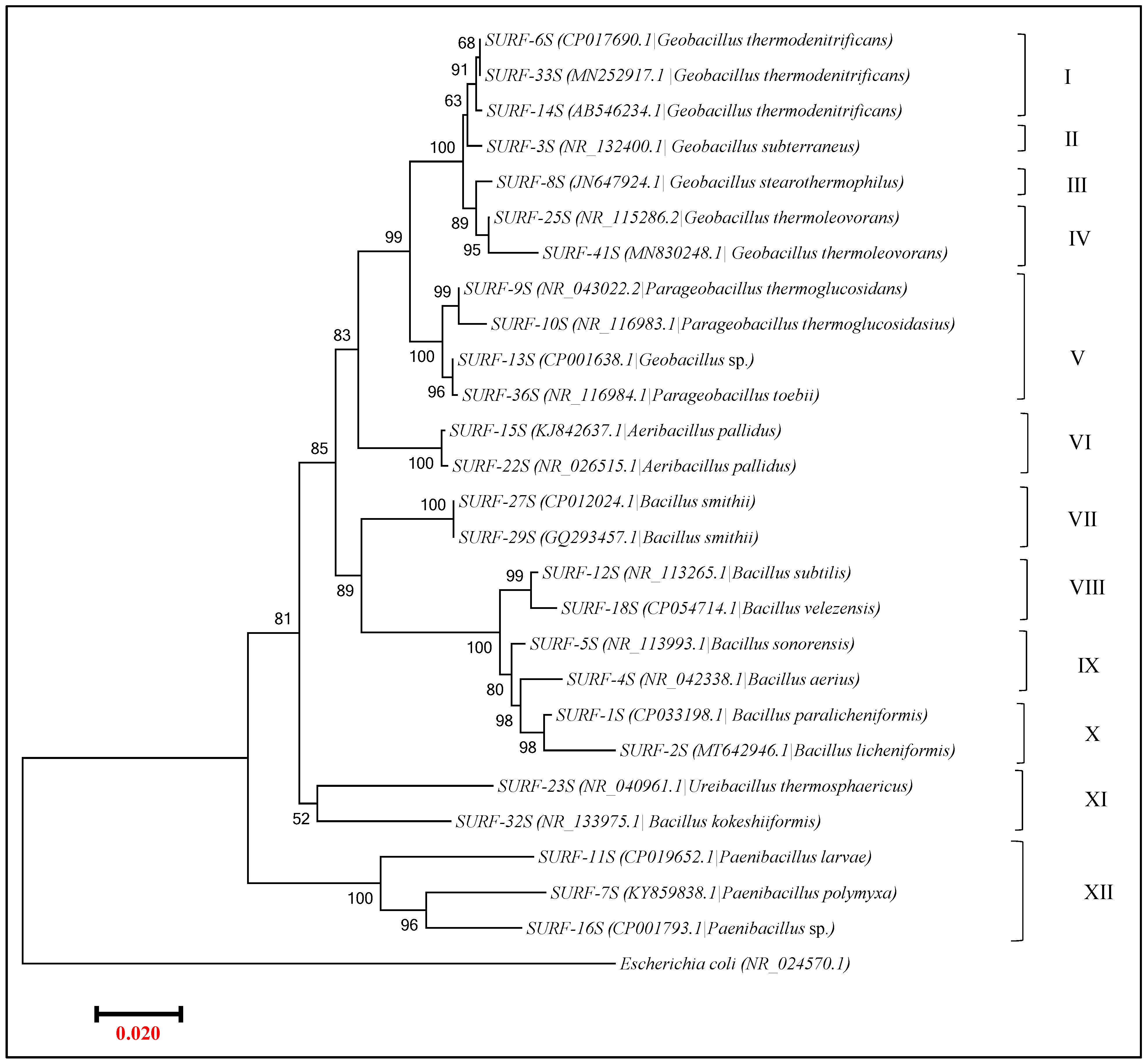 Microorganisms 09 00113 g006