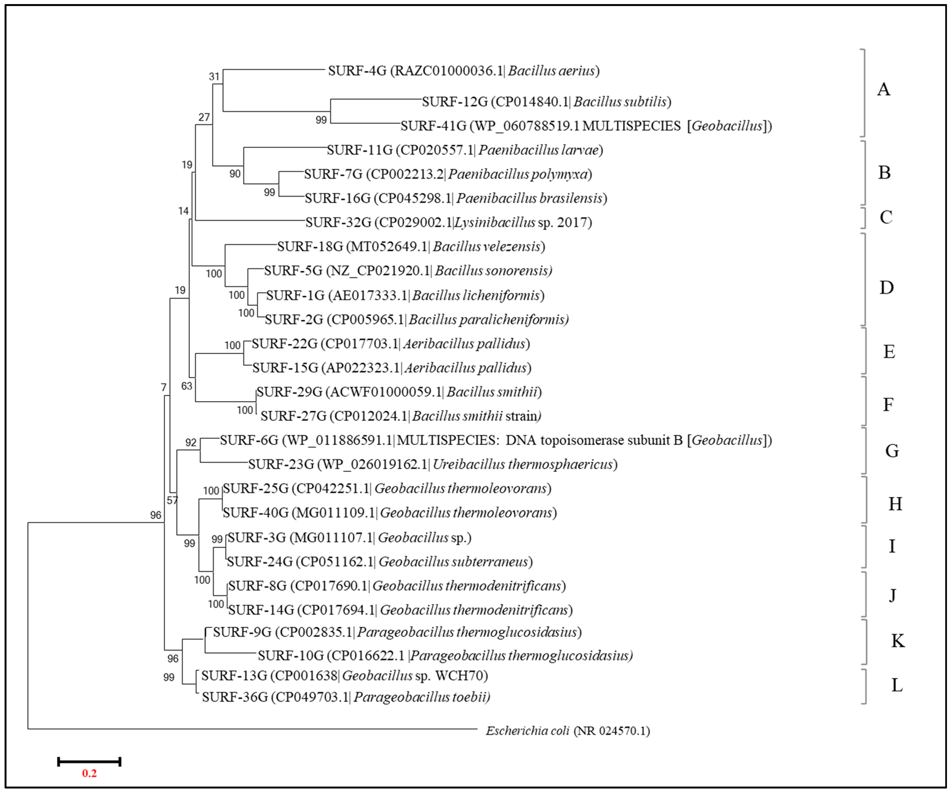 Microorganisms 09 00113 g008