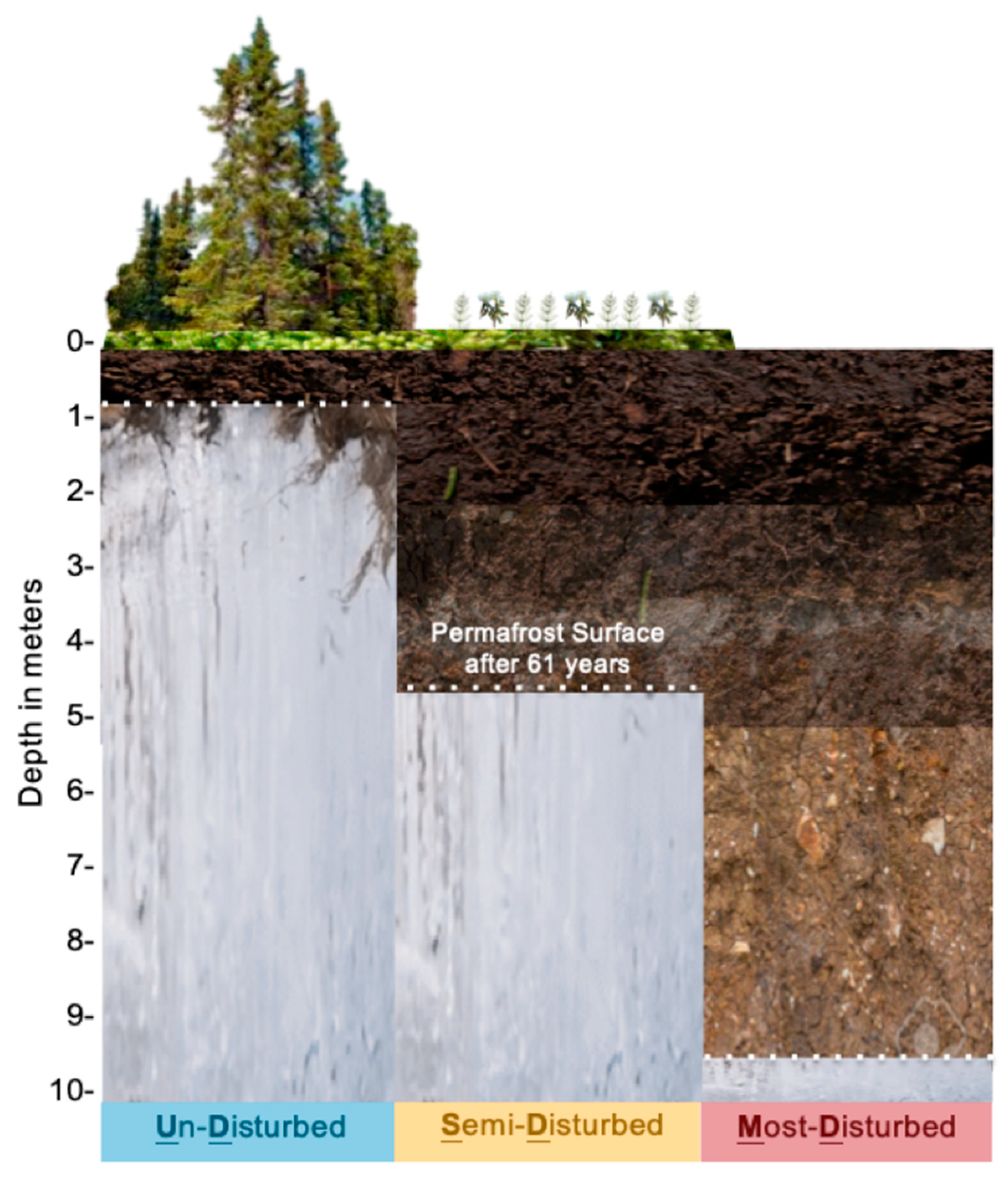 Microorganisms 09 00116 g001