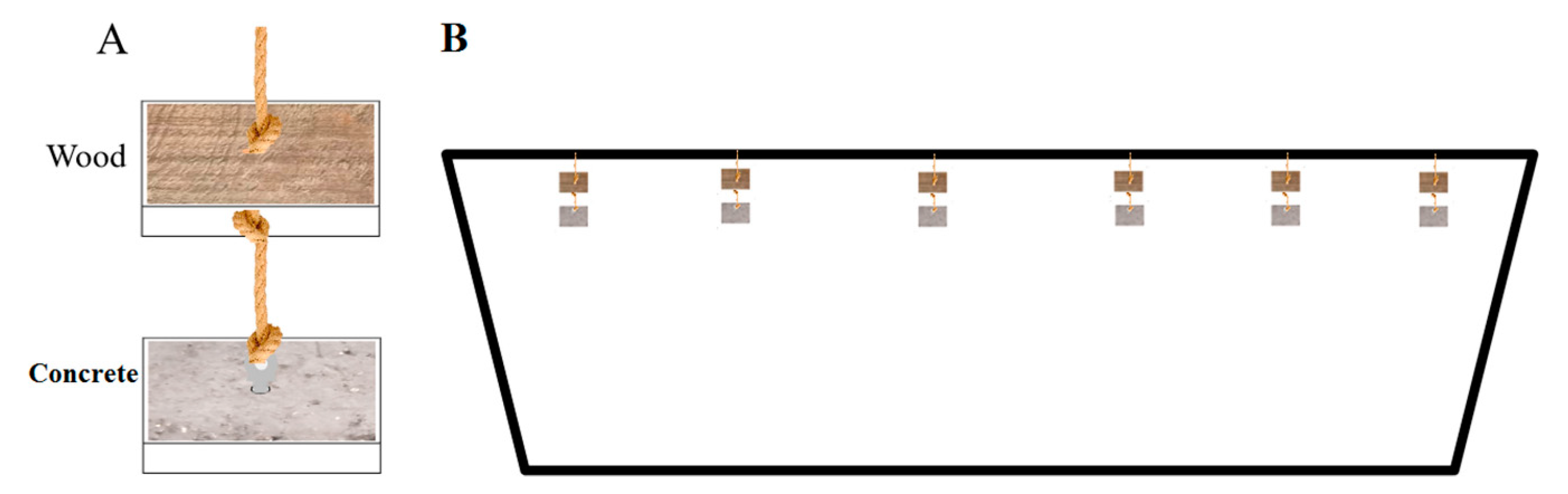 Microorganisms 09 00120 g001
