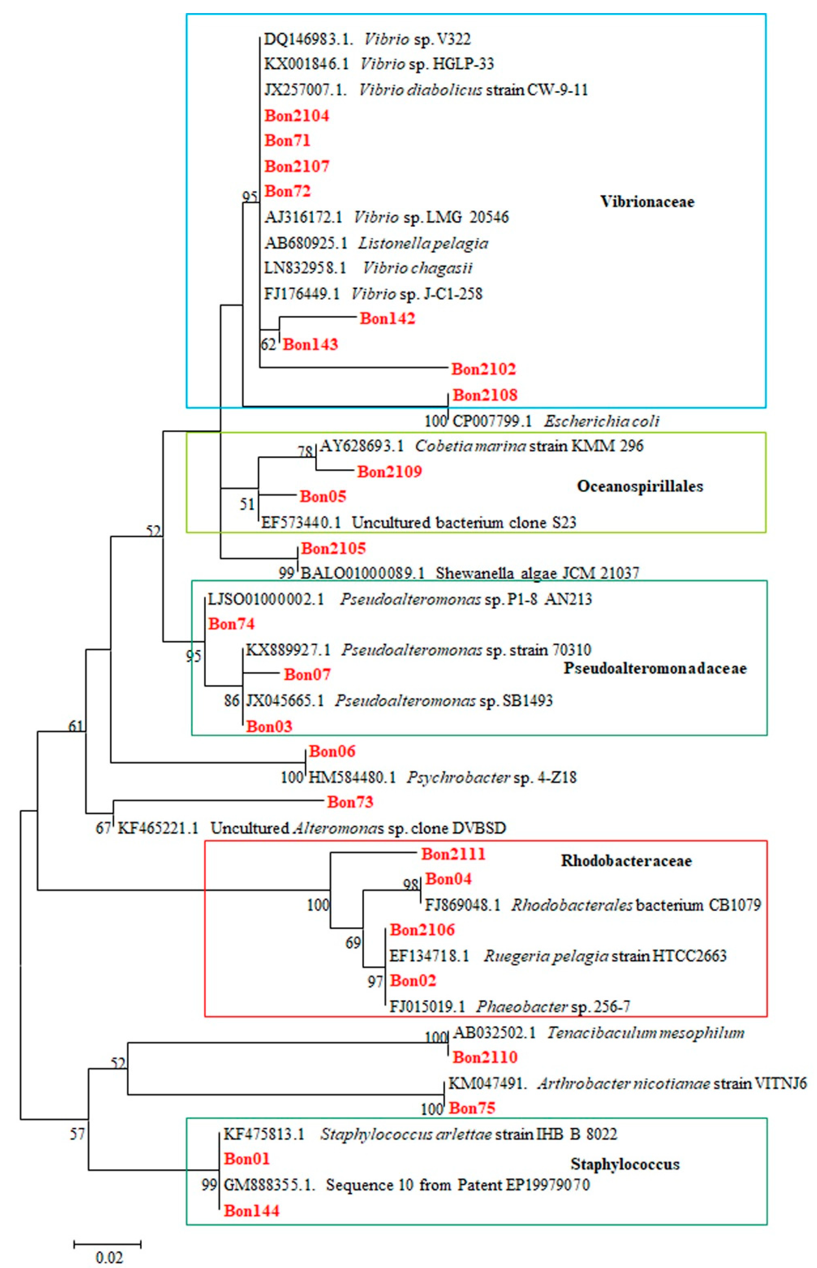 Microorganisms 09 00128 g001