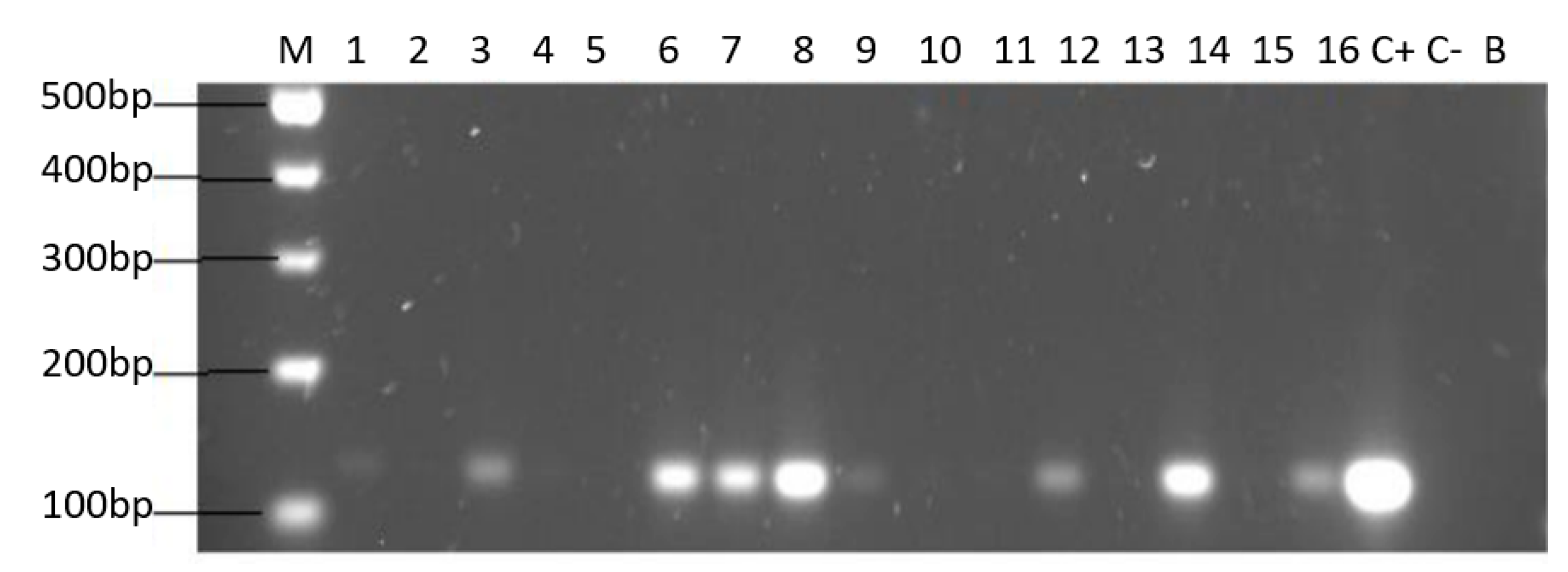 Microorganisms 09 00131 g005 Microorganisms 09 00131 g005