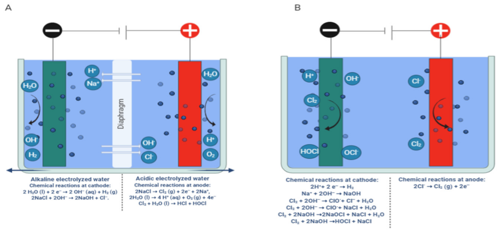 Microorganisms 09 00136 g002