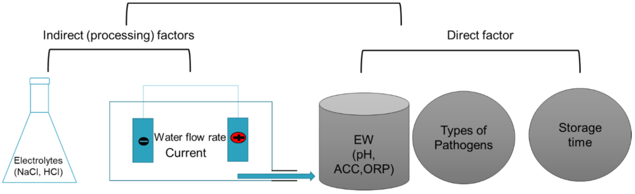 Microorganisms 09 00136 g003