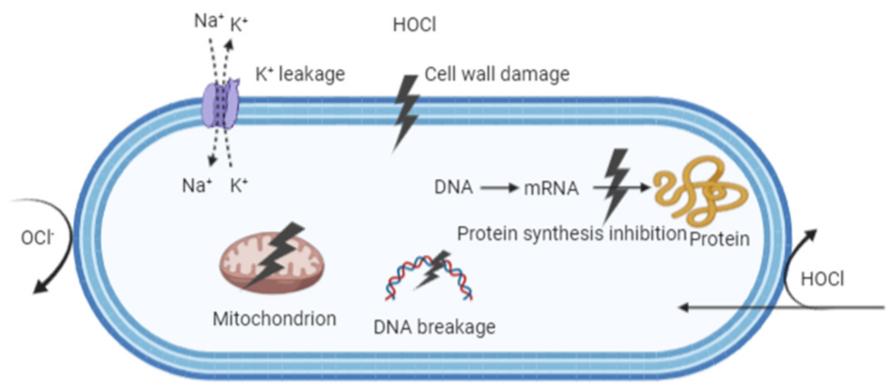 Microorganisms 09 00136 g004