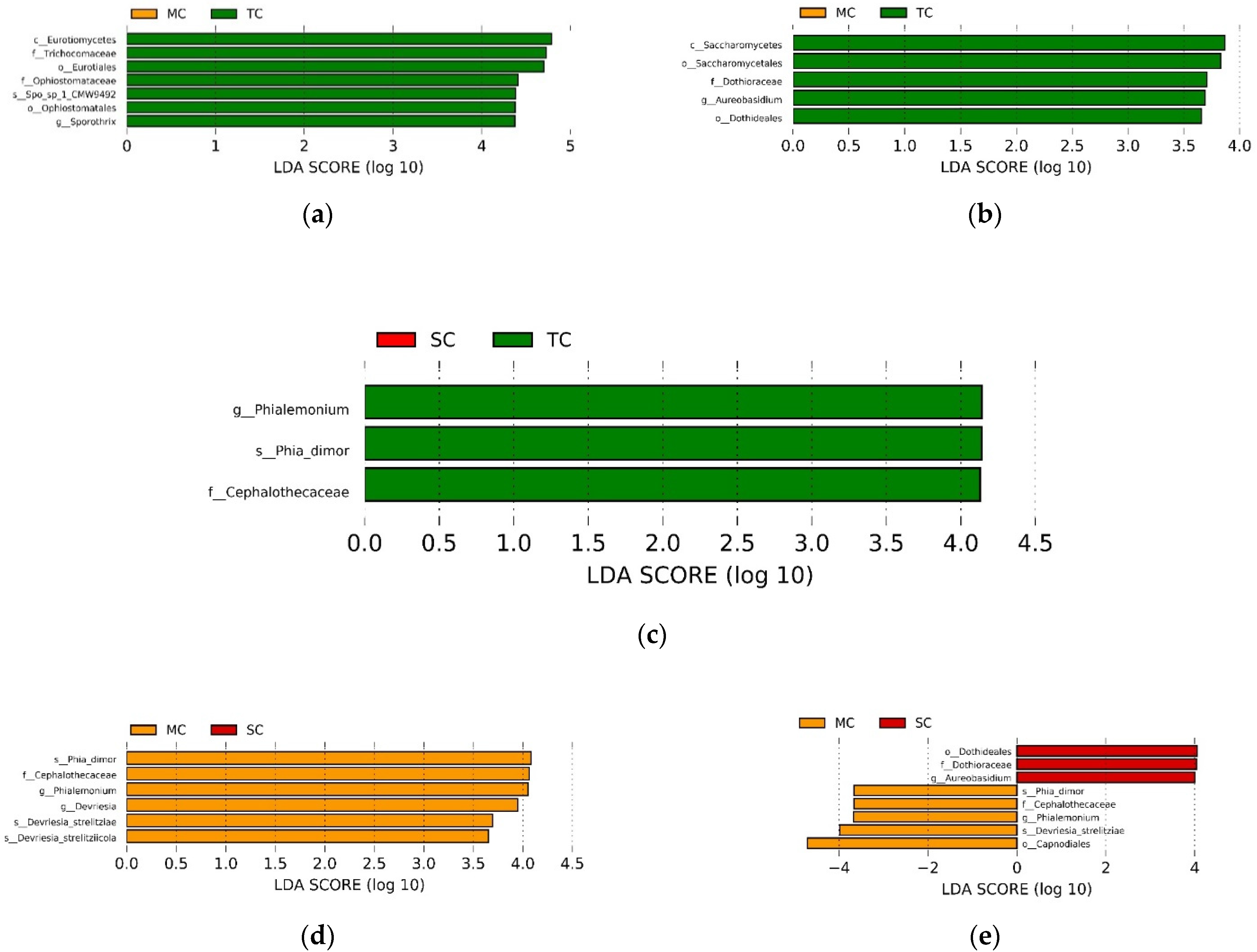 Microorganisms 09 00138 g003