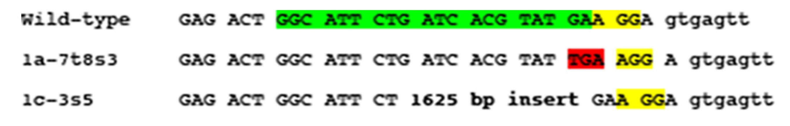 Microorganisms 09 00140 g001