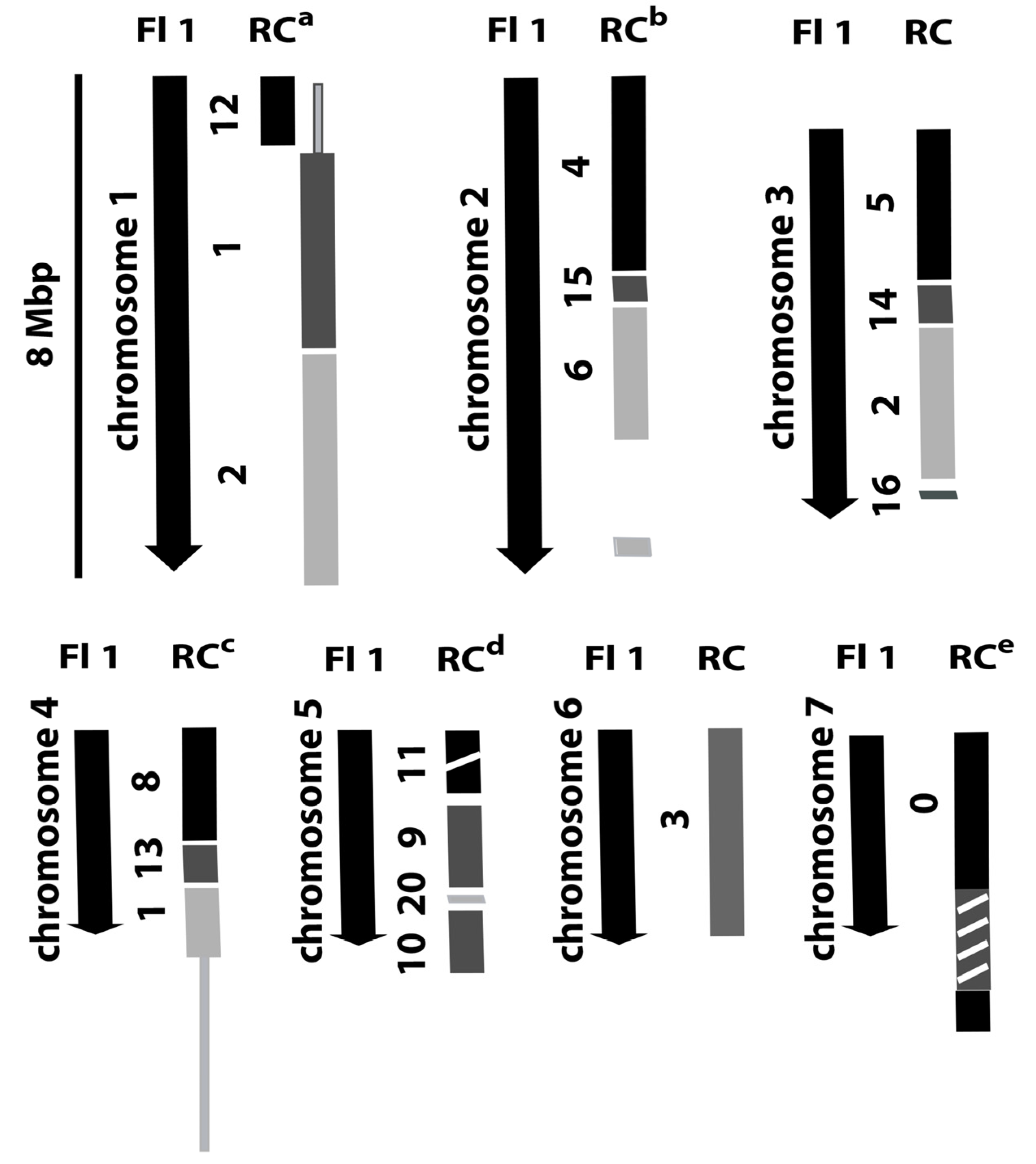 Microorganisms 09 00140 g004
