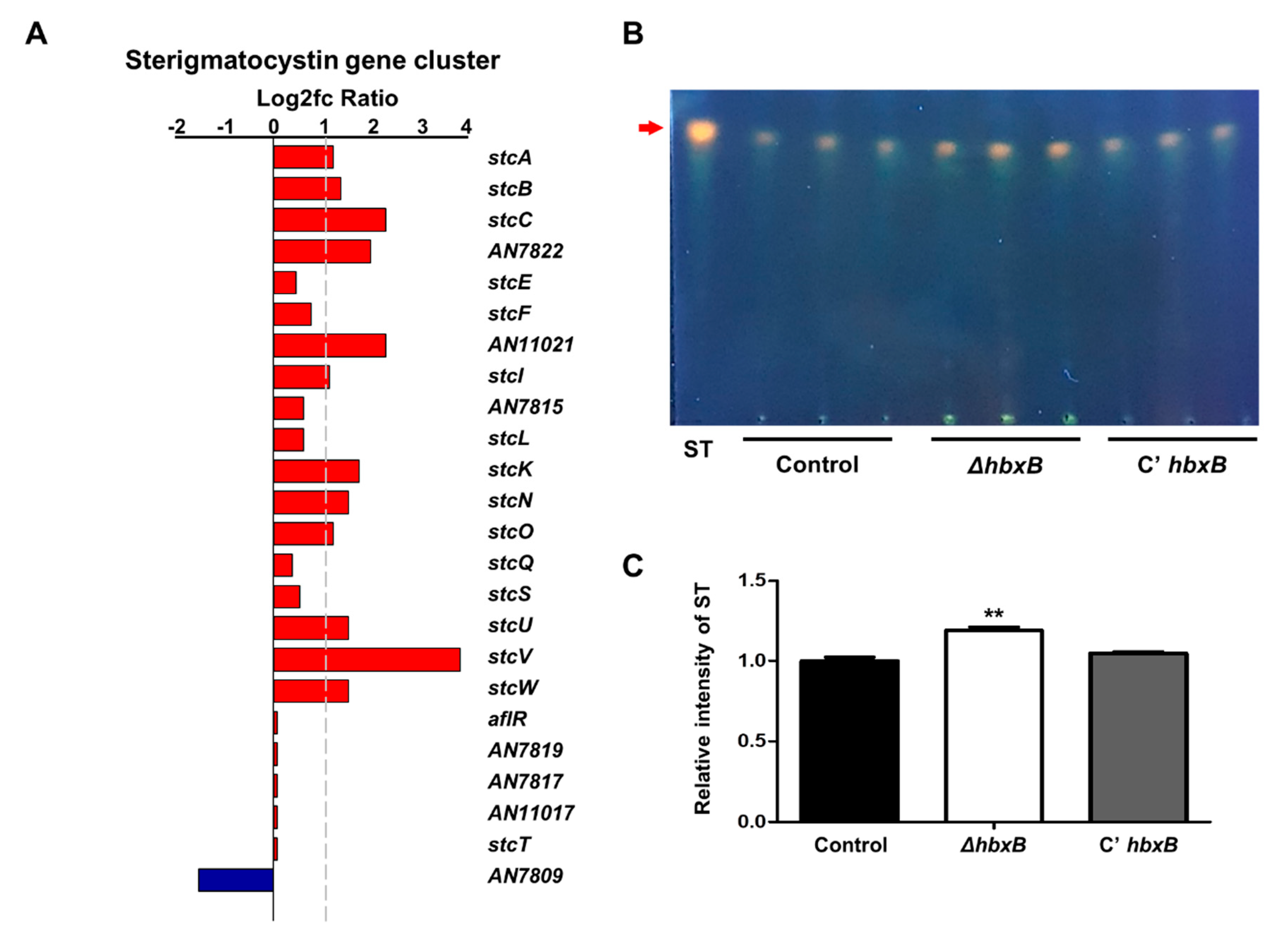 Microorganisms 09 00144 g004