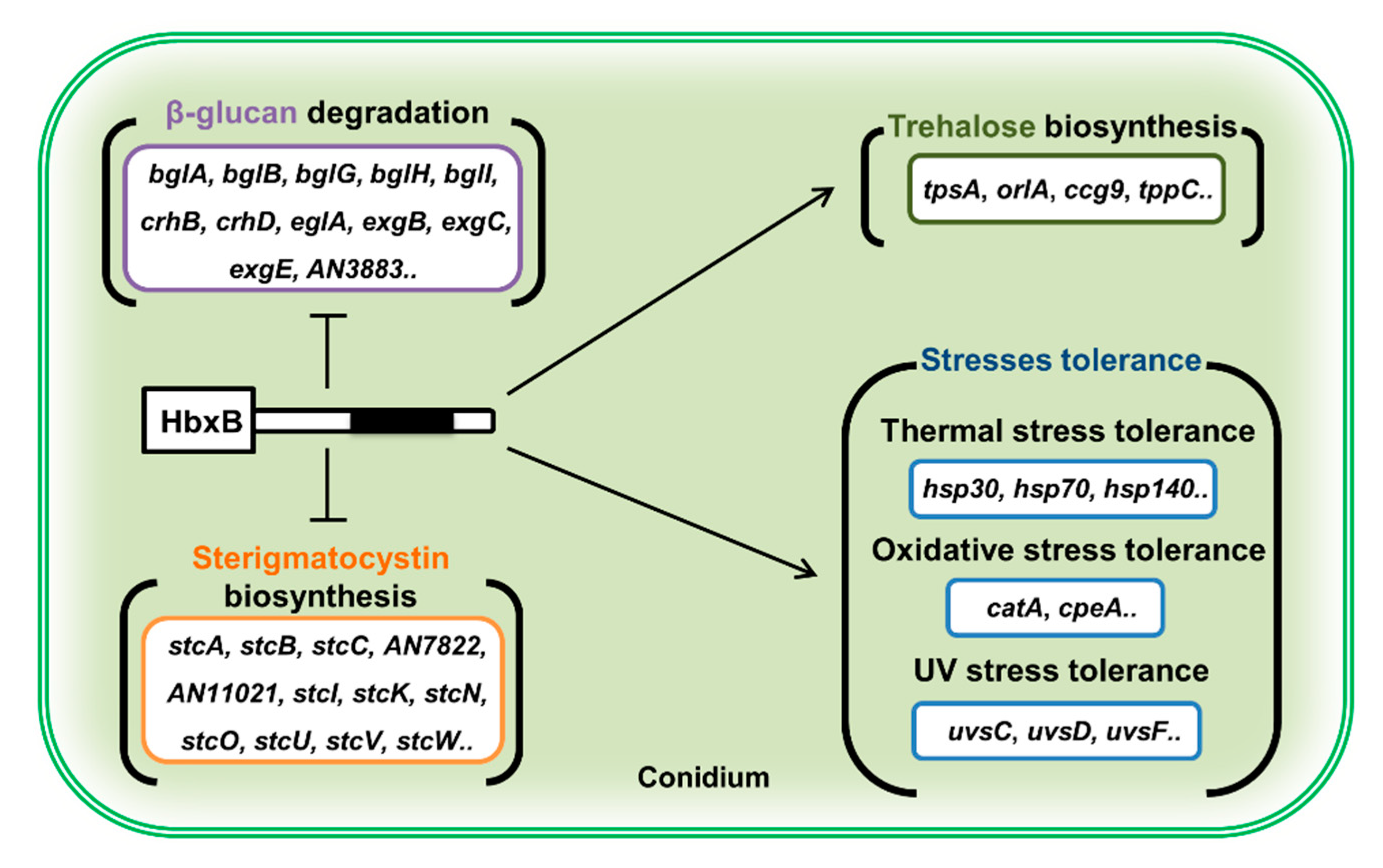 Microorganisms 09 00144 g005