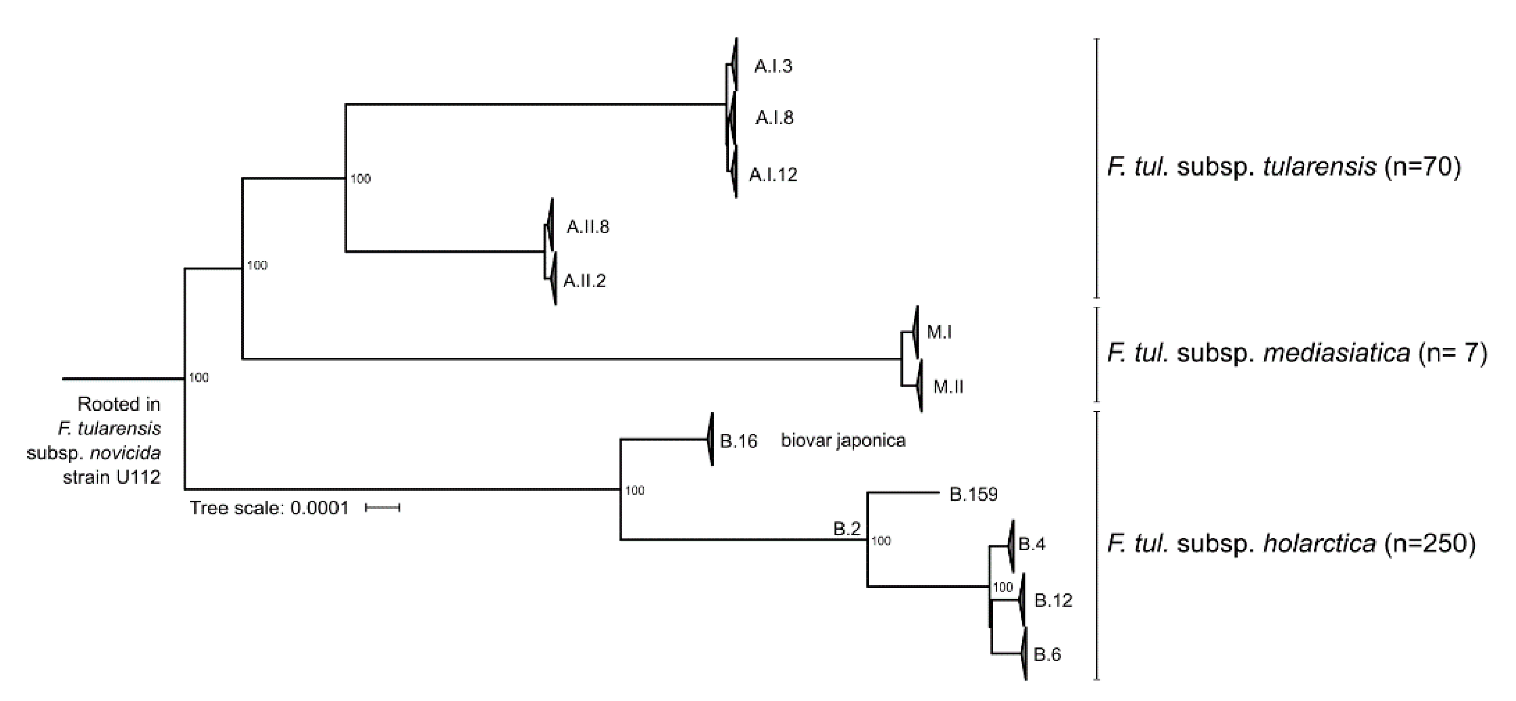 Microorganisms 09 00146 g003