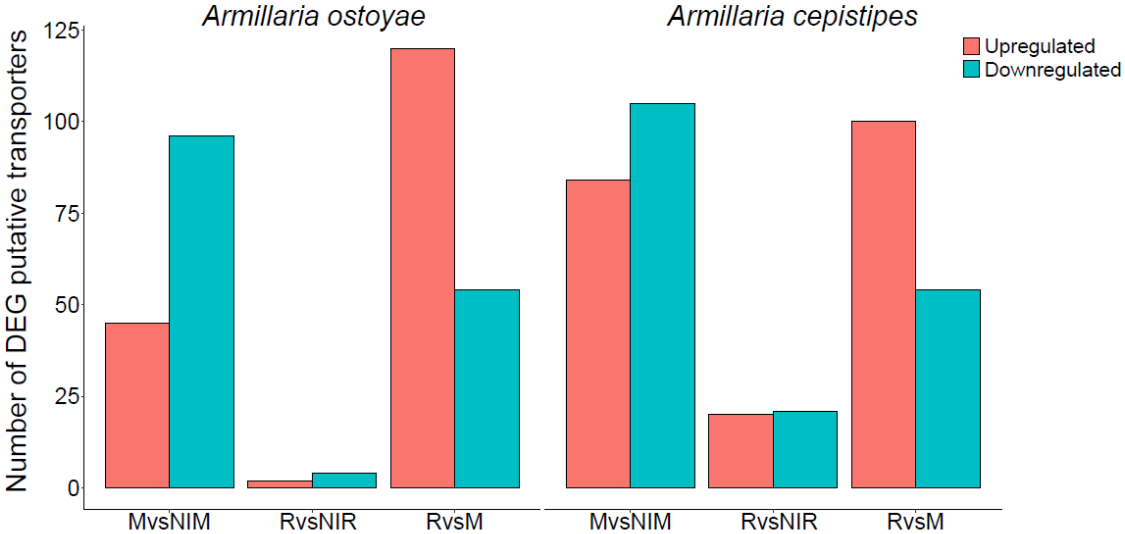 Microorganisms 09 00149 g006