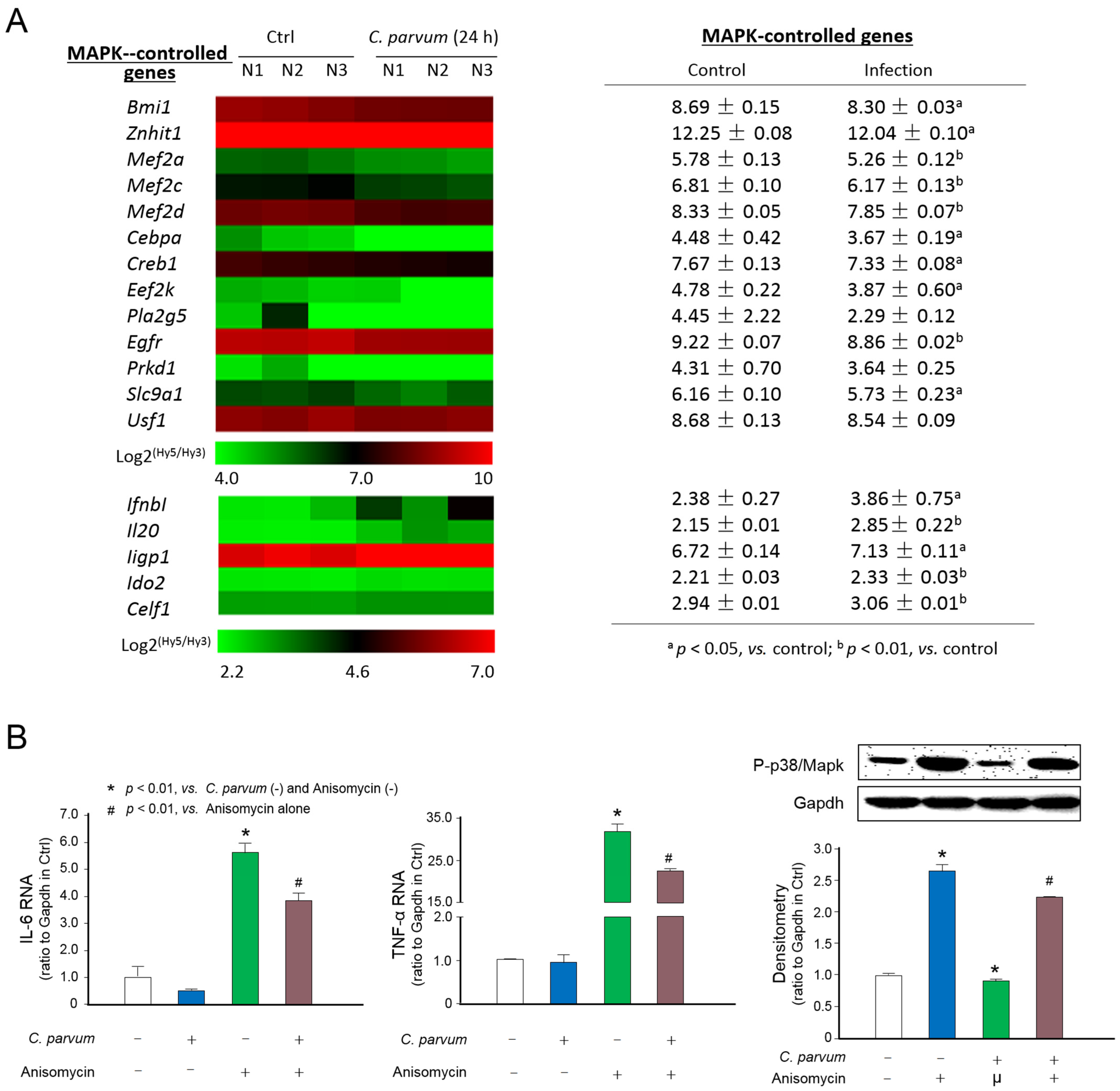 Microorganisms 09 00151 g001