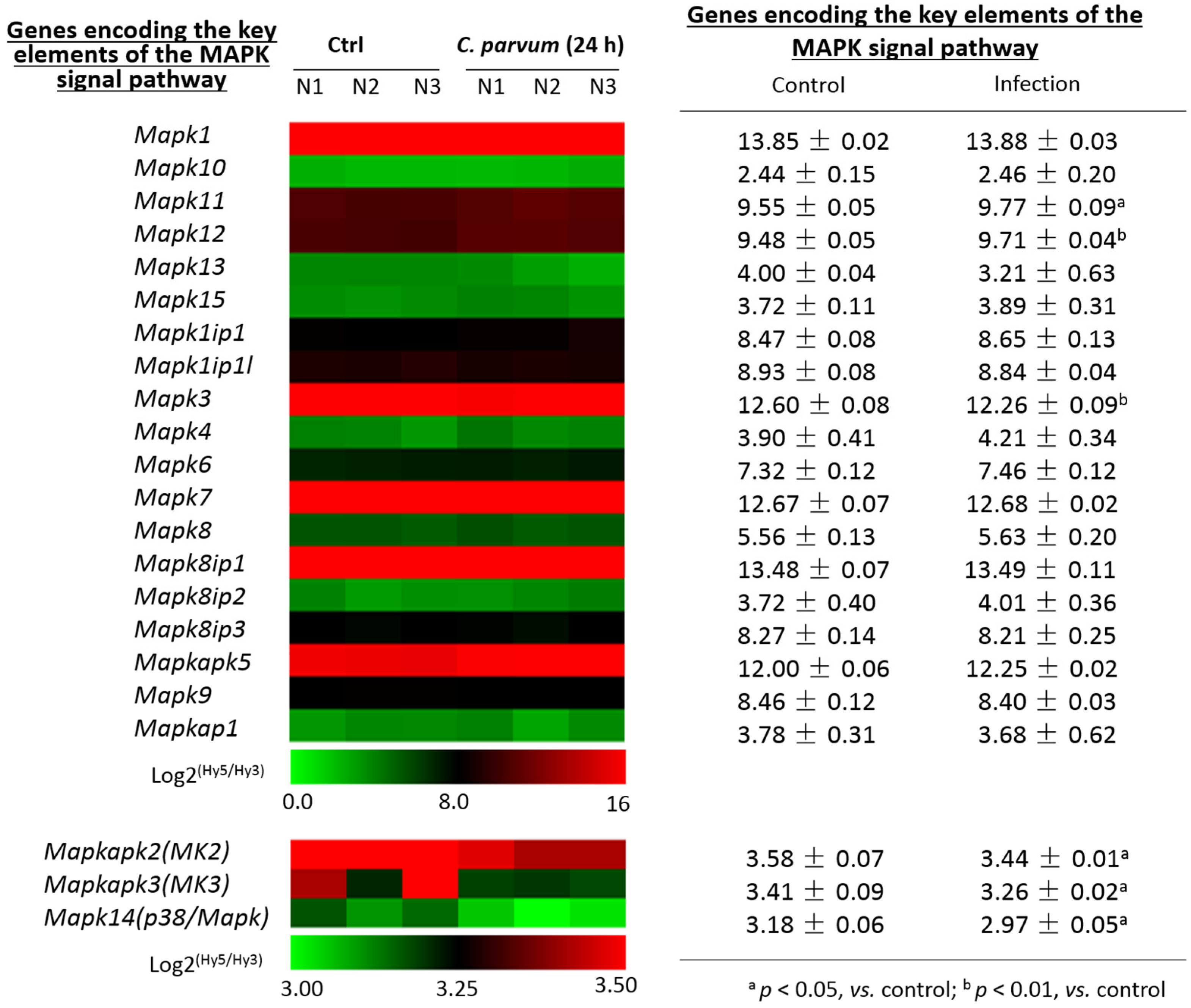 Microorganisms 09 00151 g002