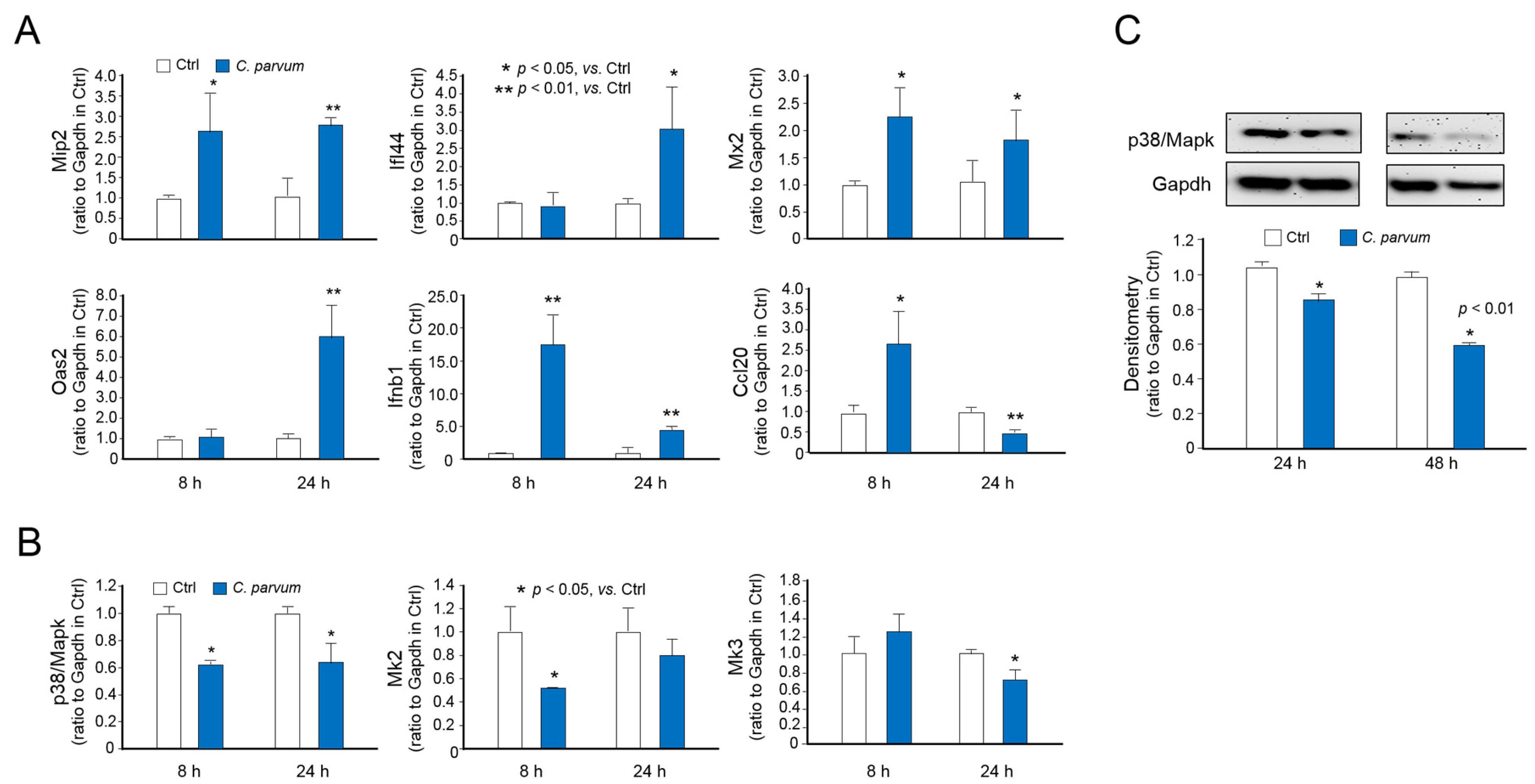 Microorganisms 09 00151 g003