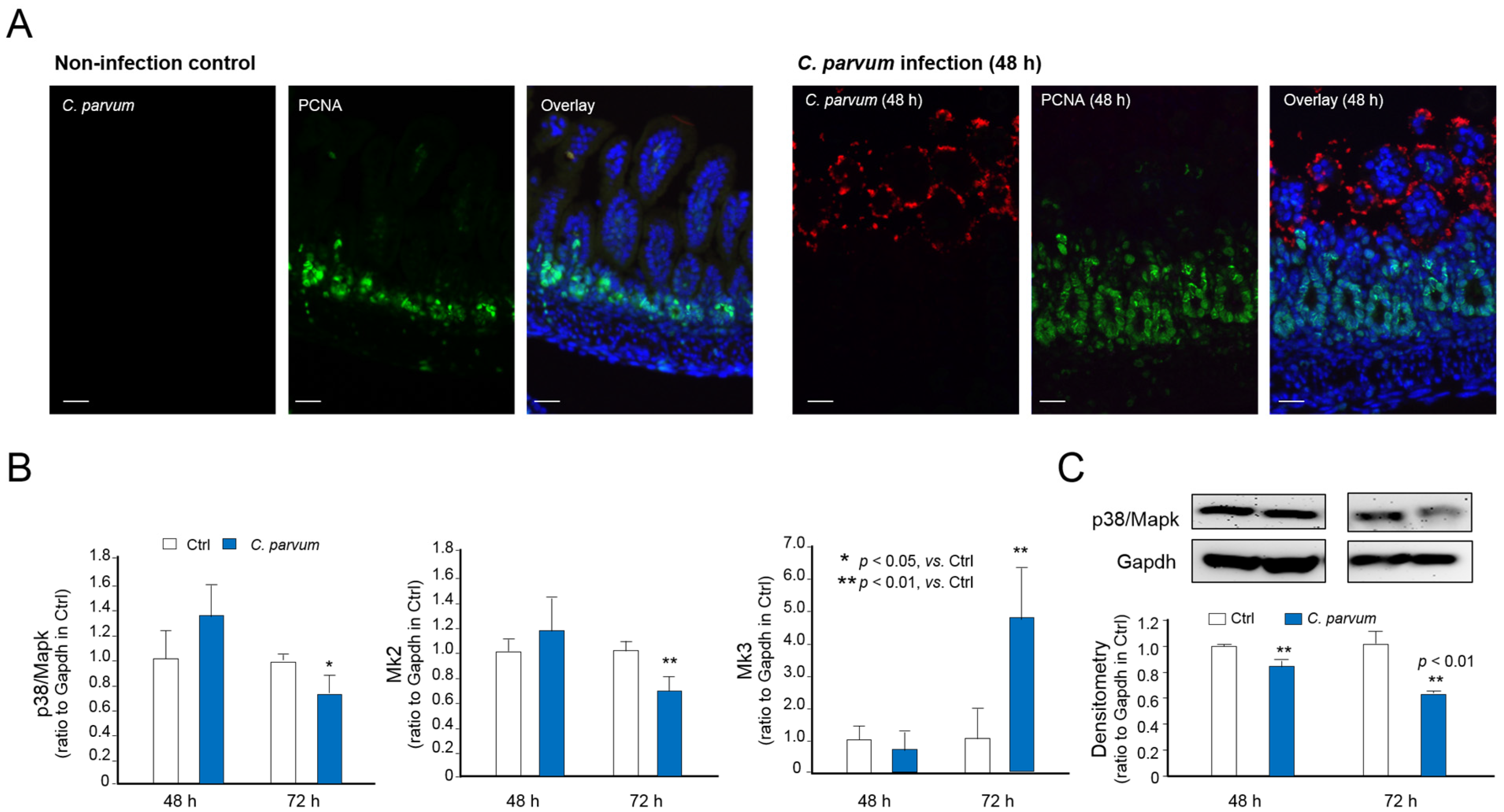 Microorganisms 09 00151 g004