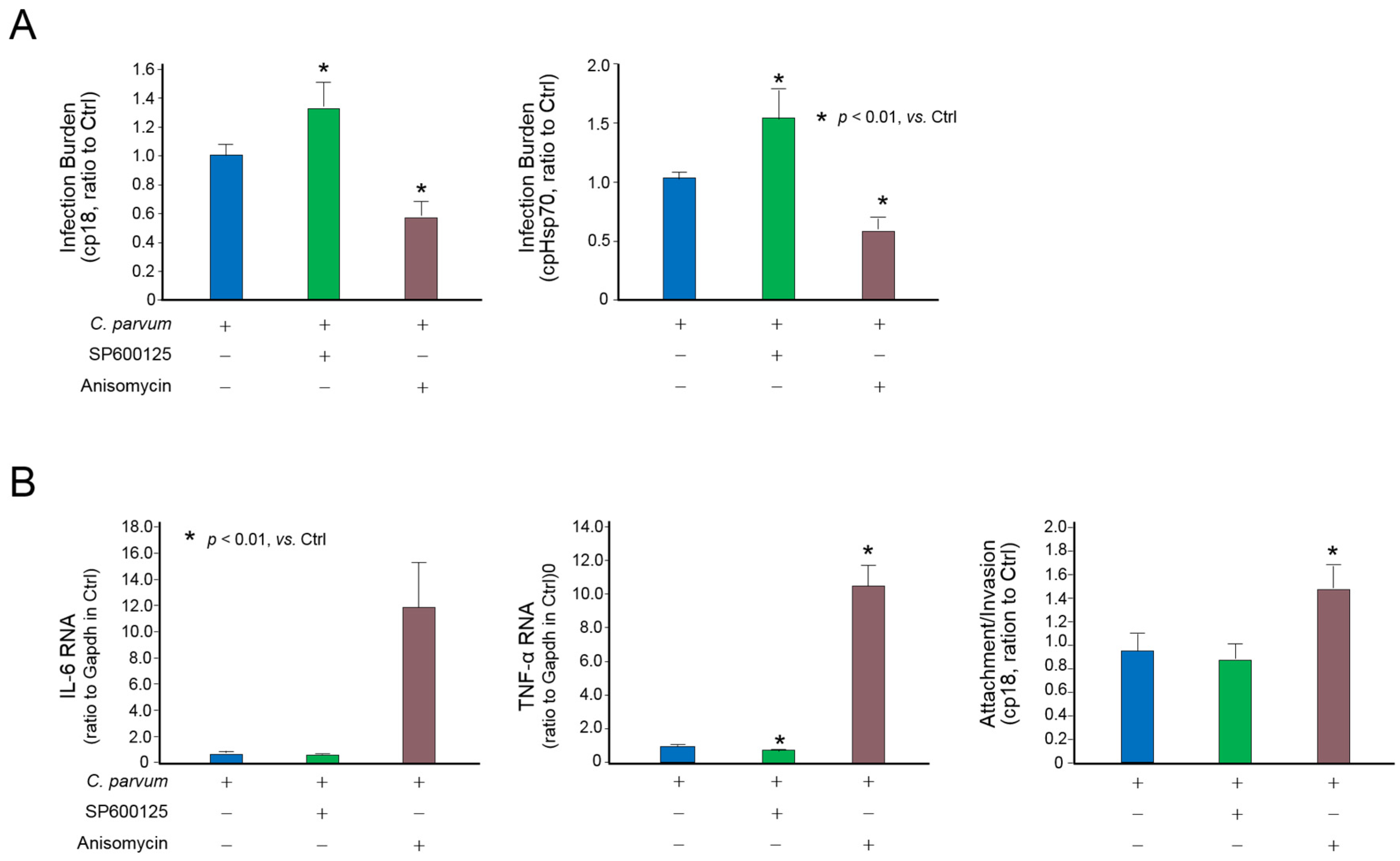 Microorganisms 09 00151 g006