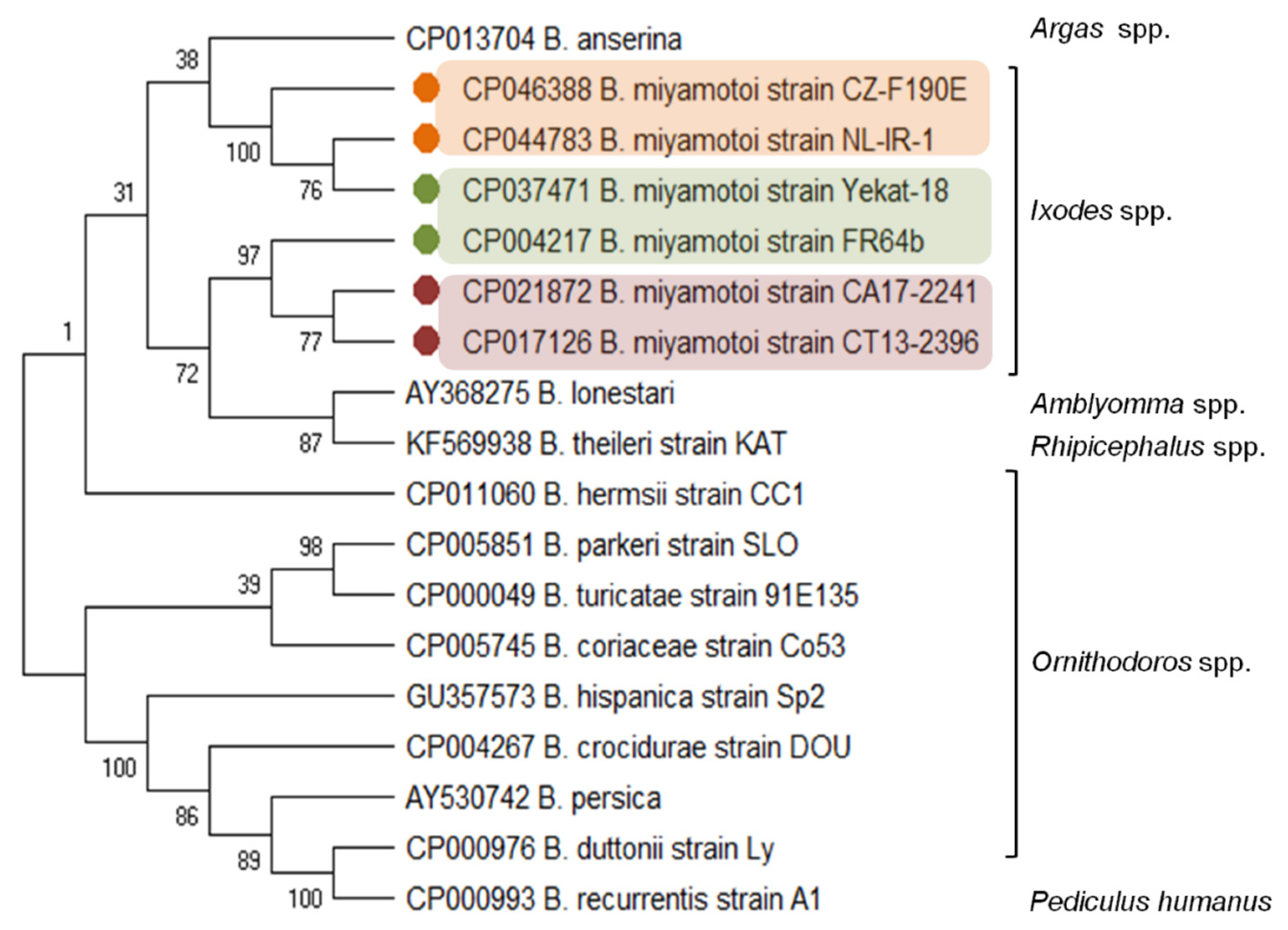 Microorganisms 09 00154 g001