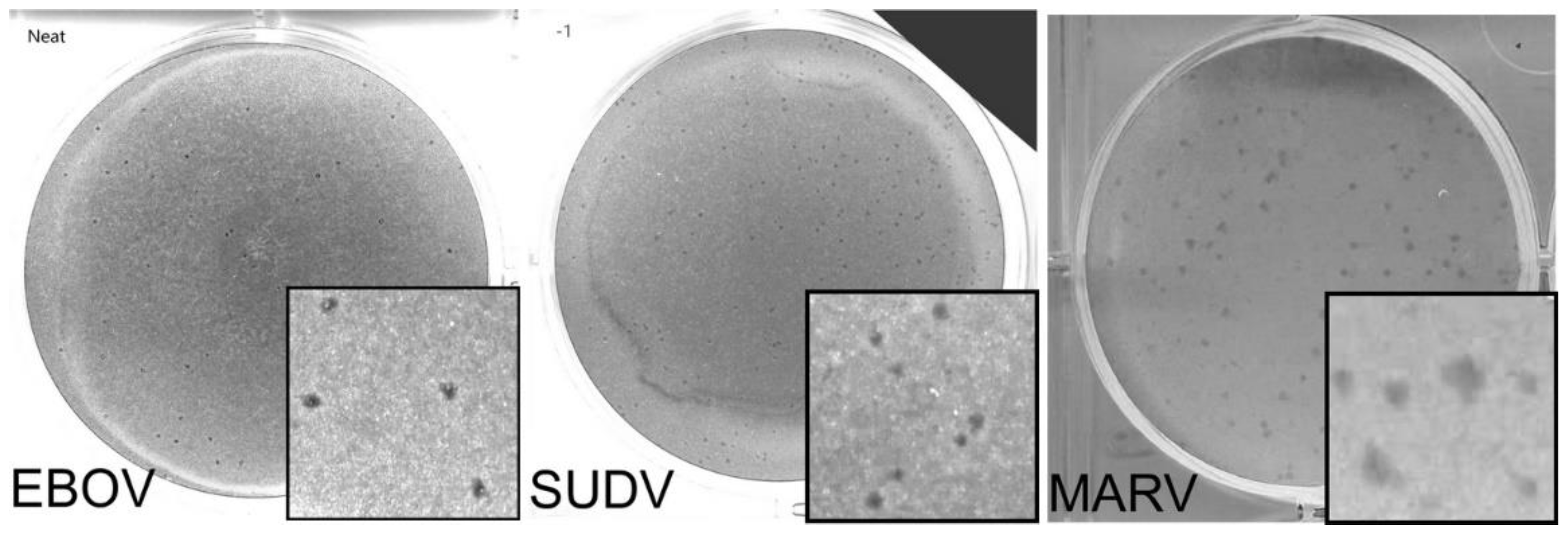 Microorganisms 09 00156 g002