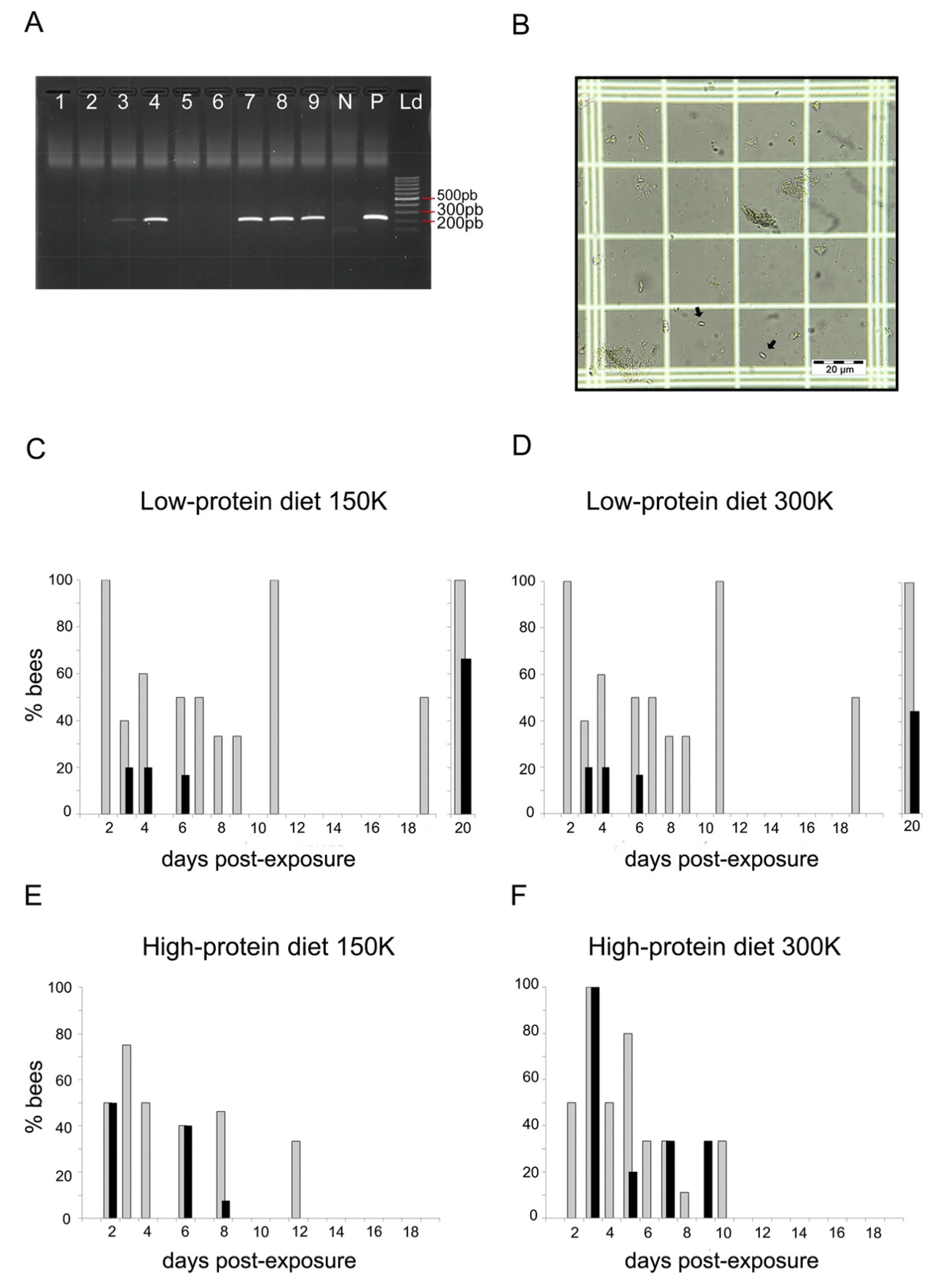 Microorganisms 09 00158 g001