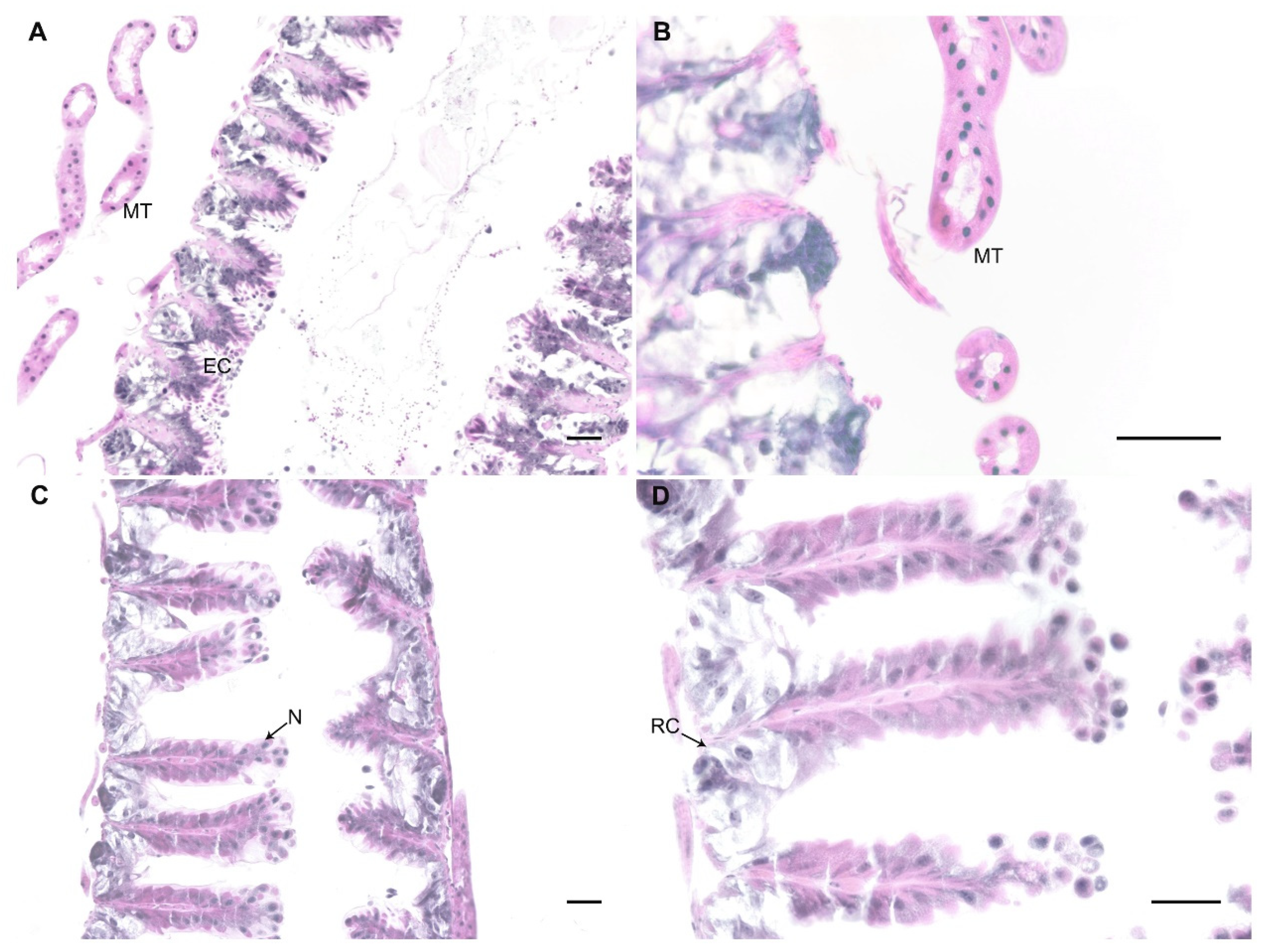 Microorganisms 09 00158 g003