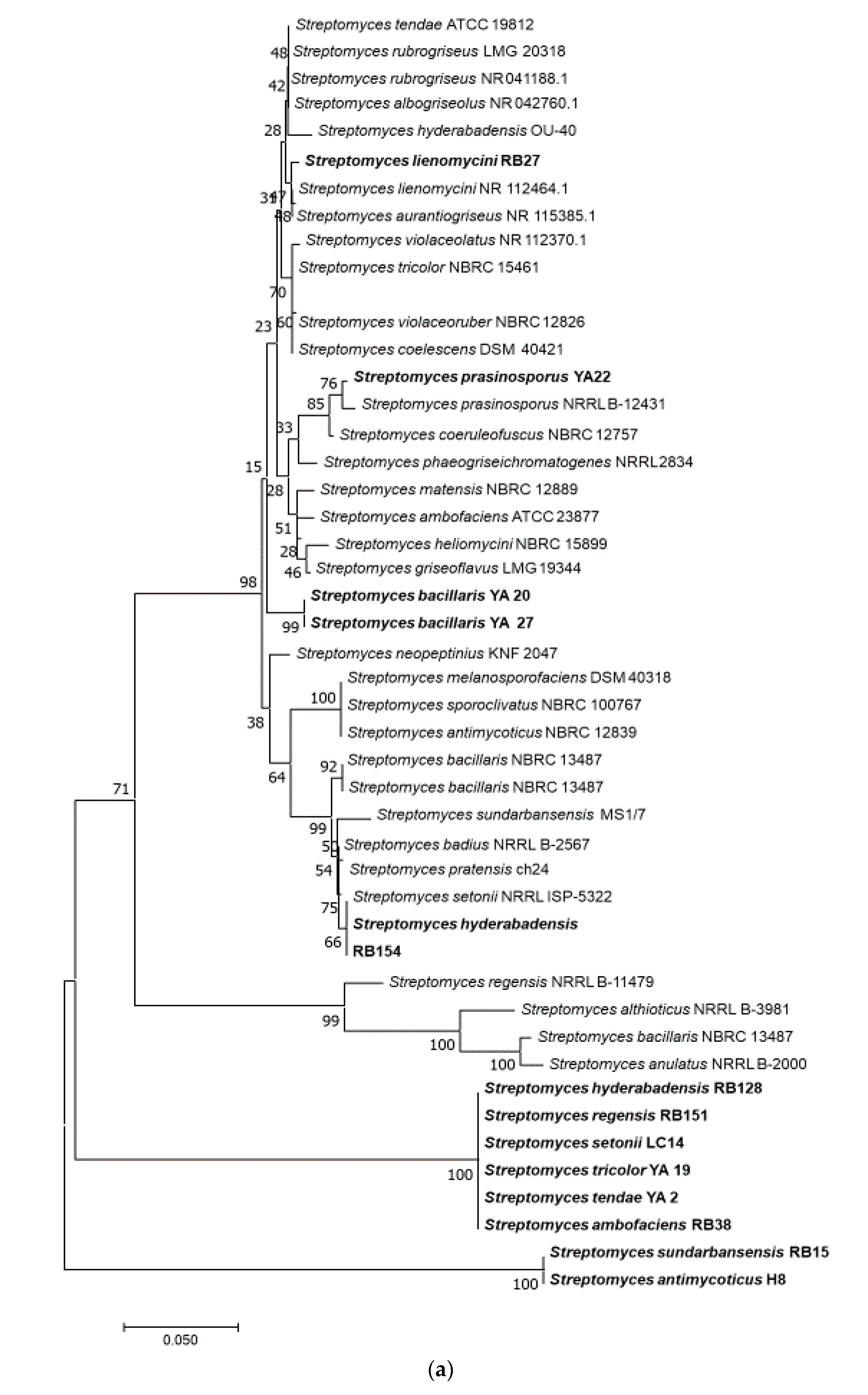 Microorganisms 09 00171 g002a Microorganisms 09 00171 g002a