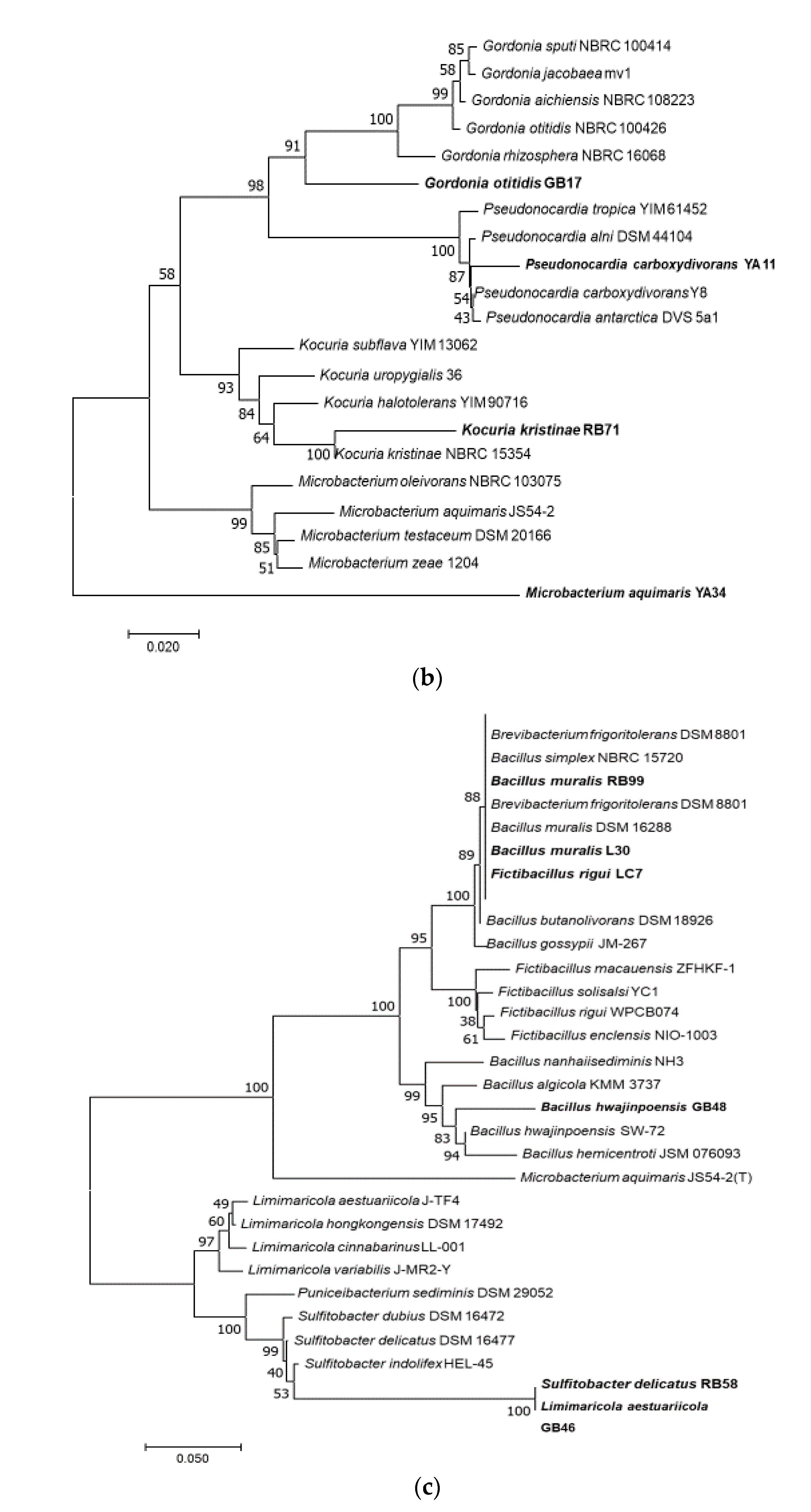 Microorganisms 09 00171 g002b Microorganisms 09 00171 g002b