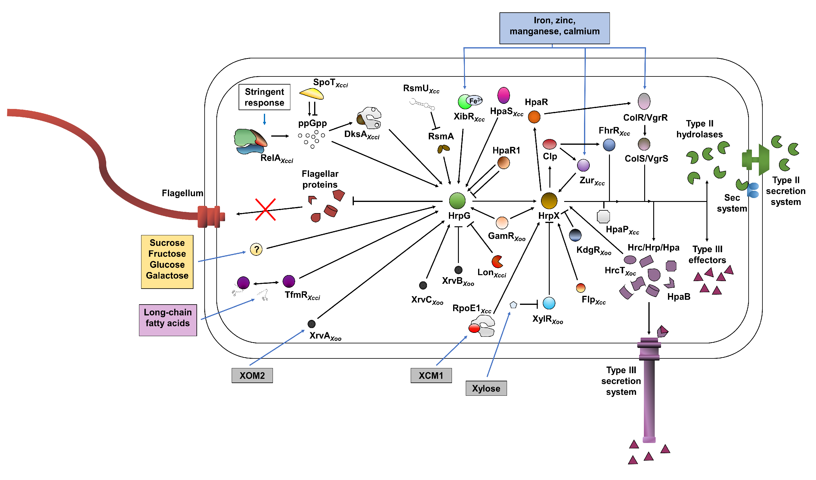Microorganisms 09 00187 g002